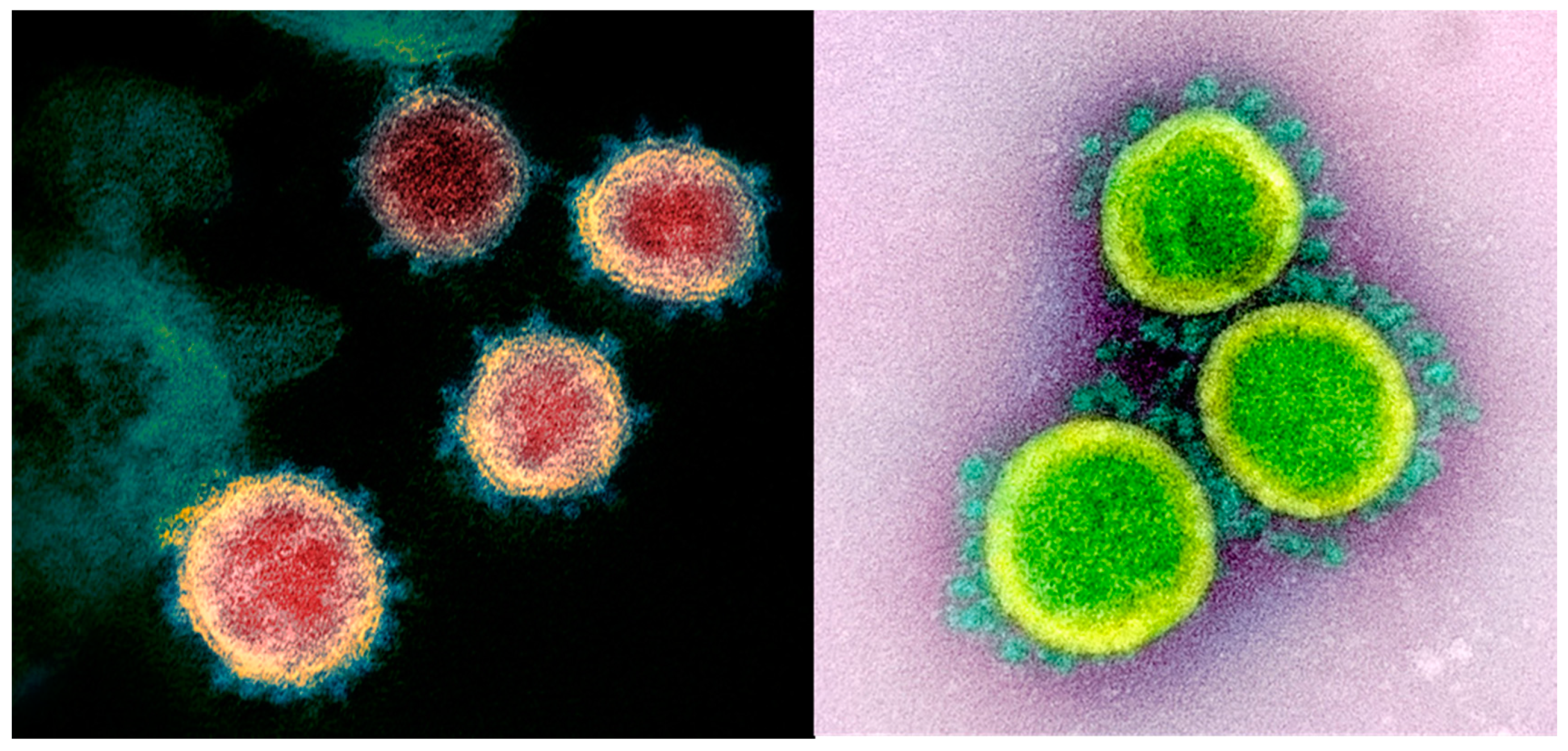 Nutrients 12 01466 g001