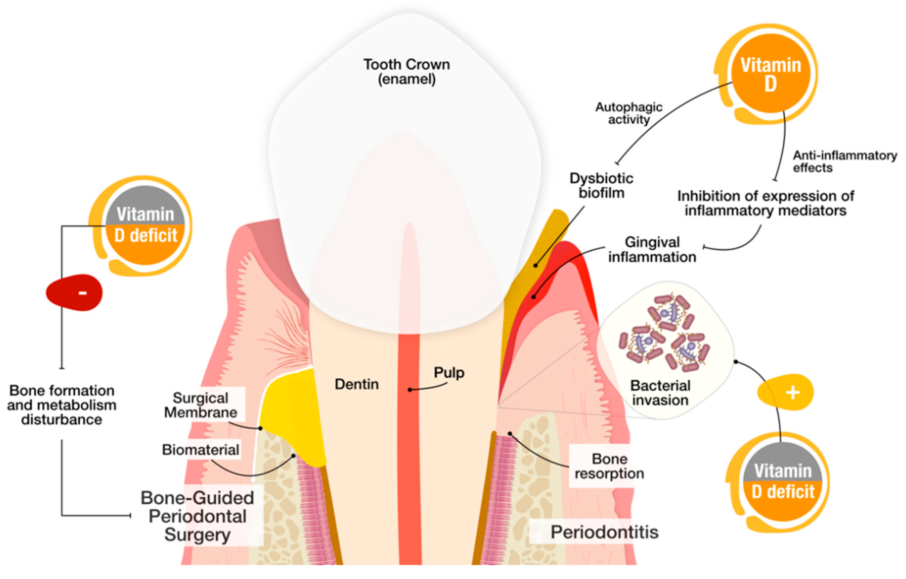 Nutrients 12 01471 g003 Nutrients 12 01471 g003
