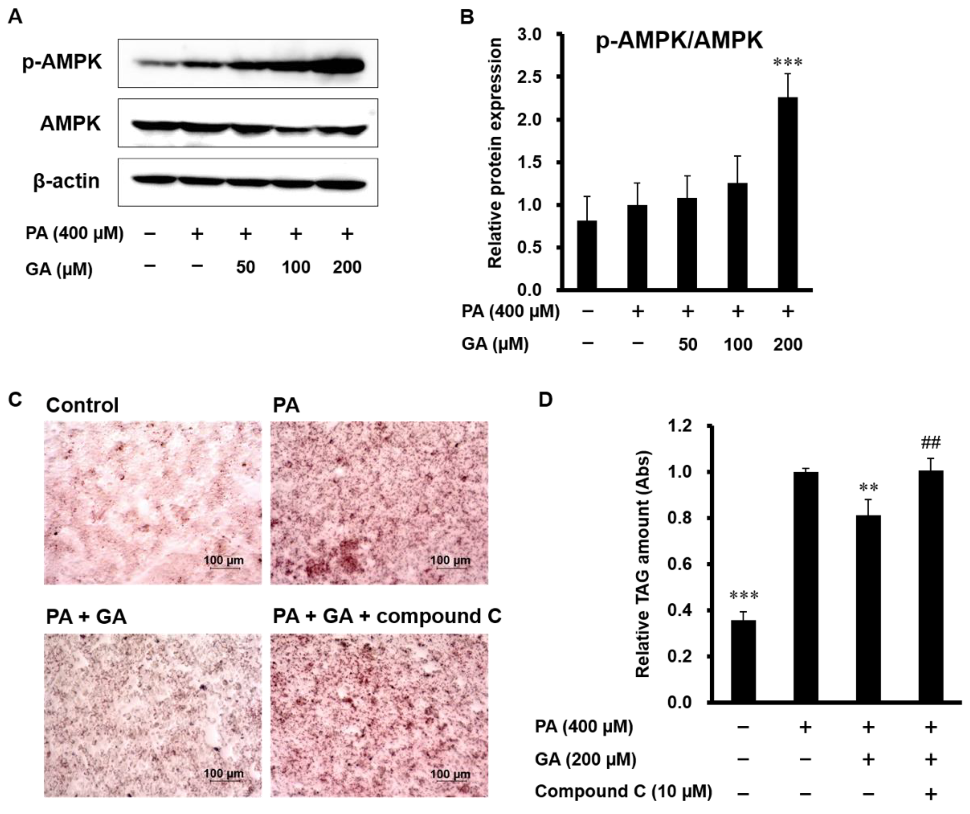 Nutrients 12 01479 g003