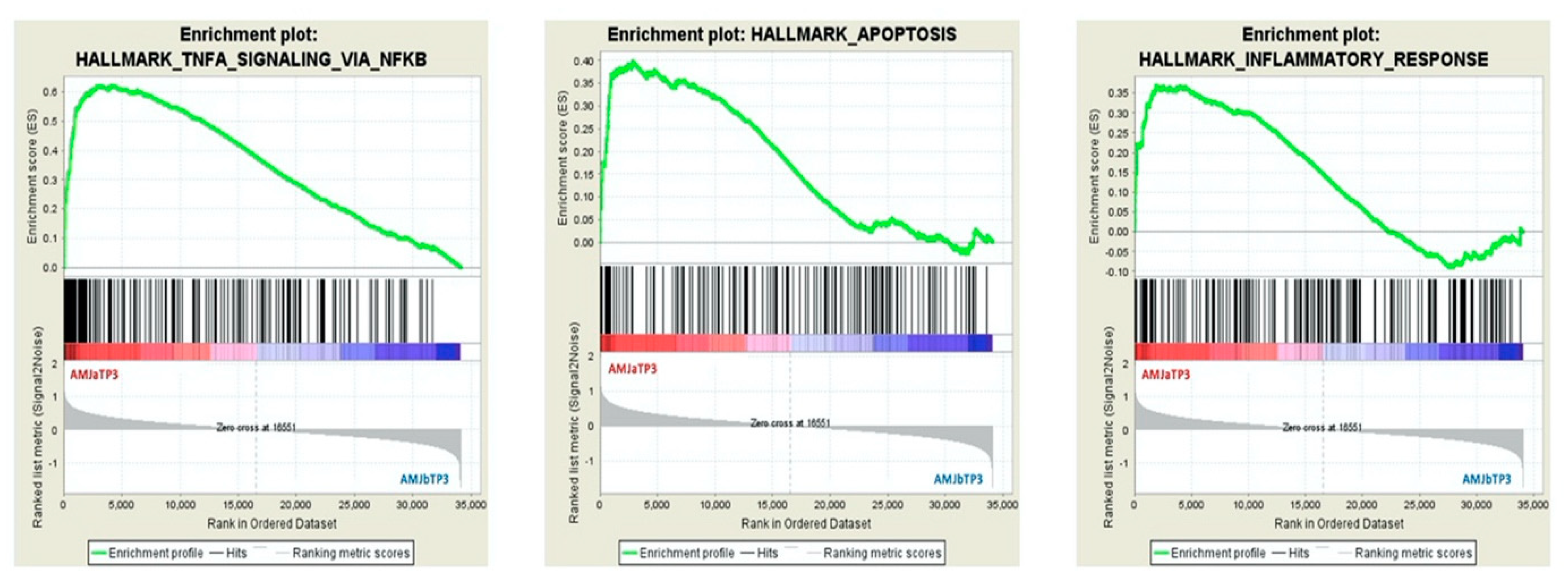 Nutrients 12 01484 g003