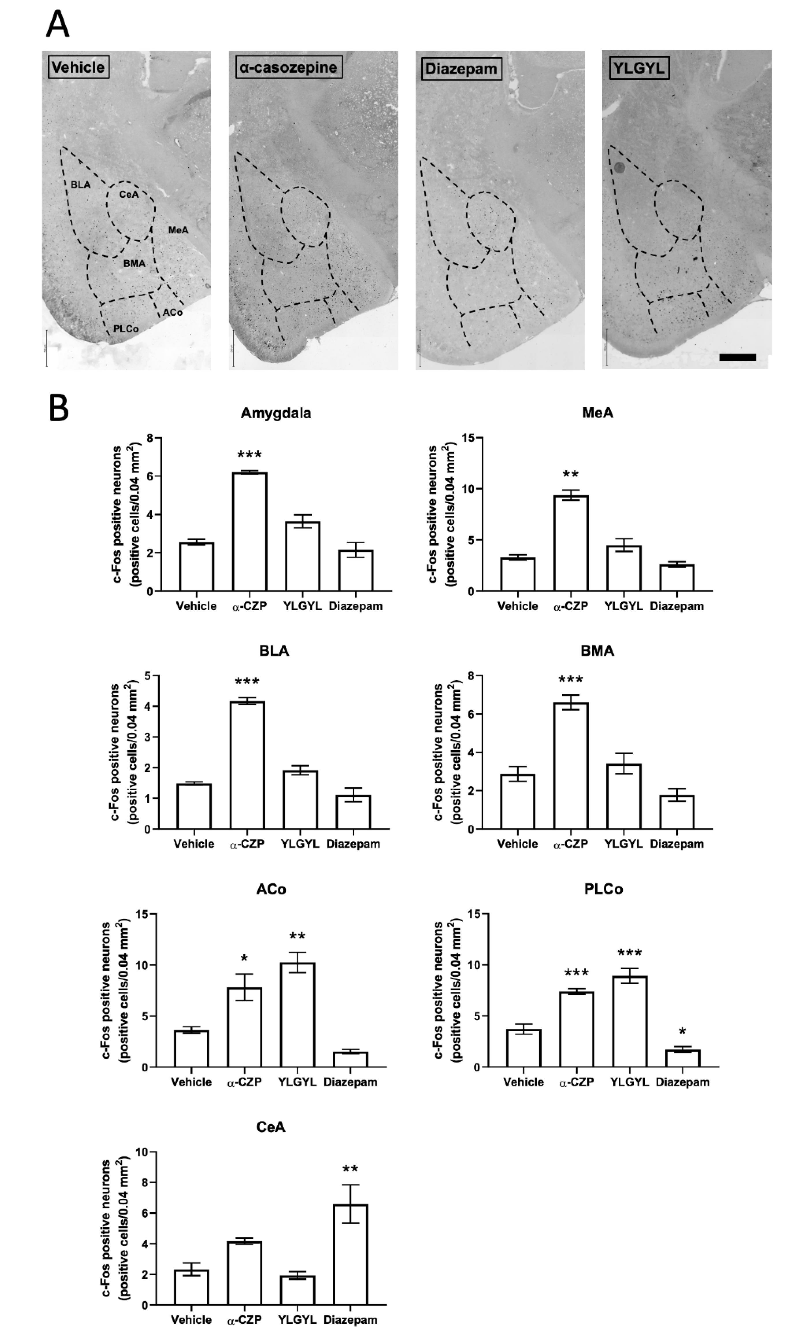 Nutrients 12 01497 g002