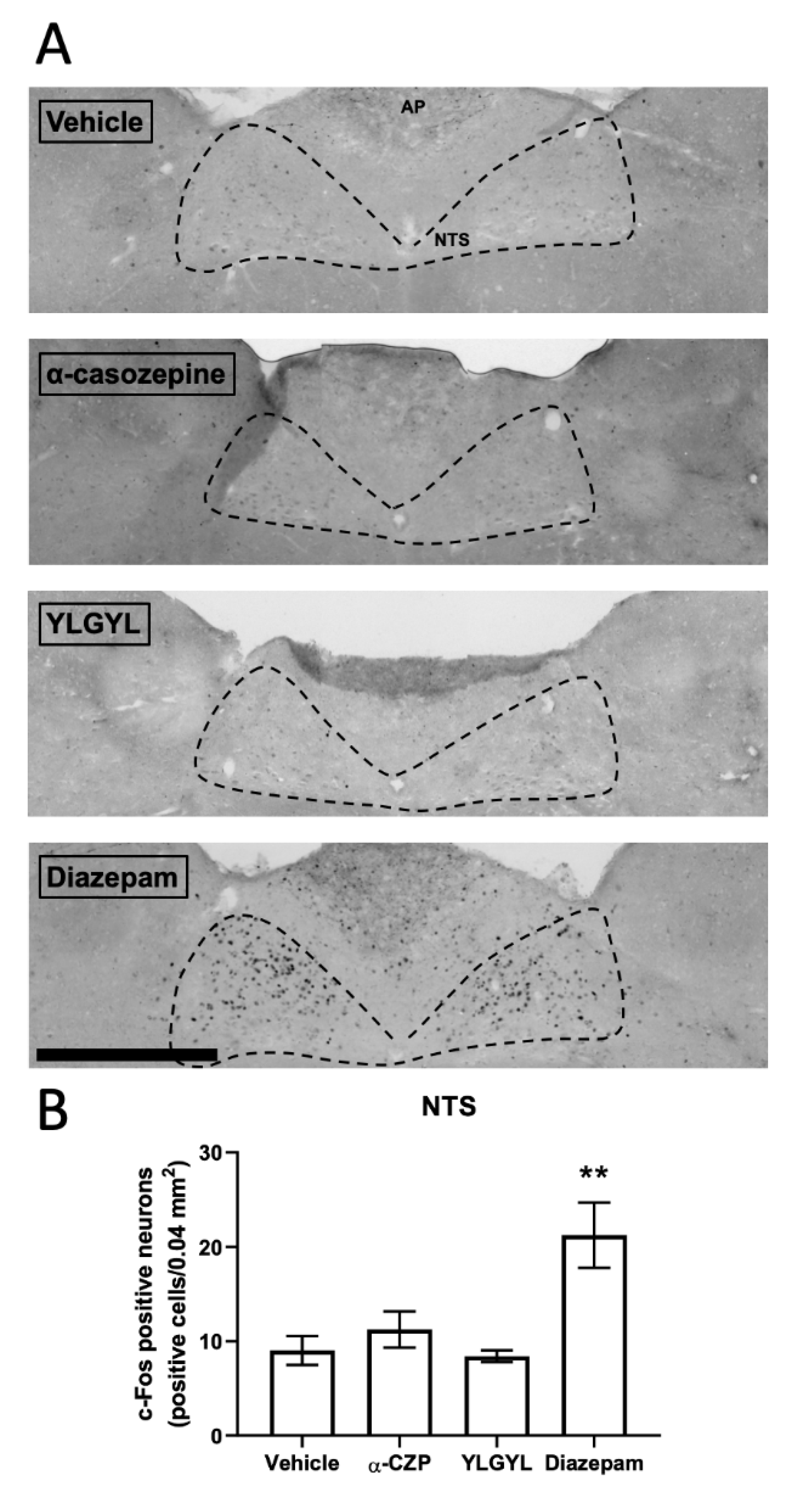 Nutrients 12 01497 g003