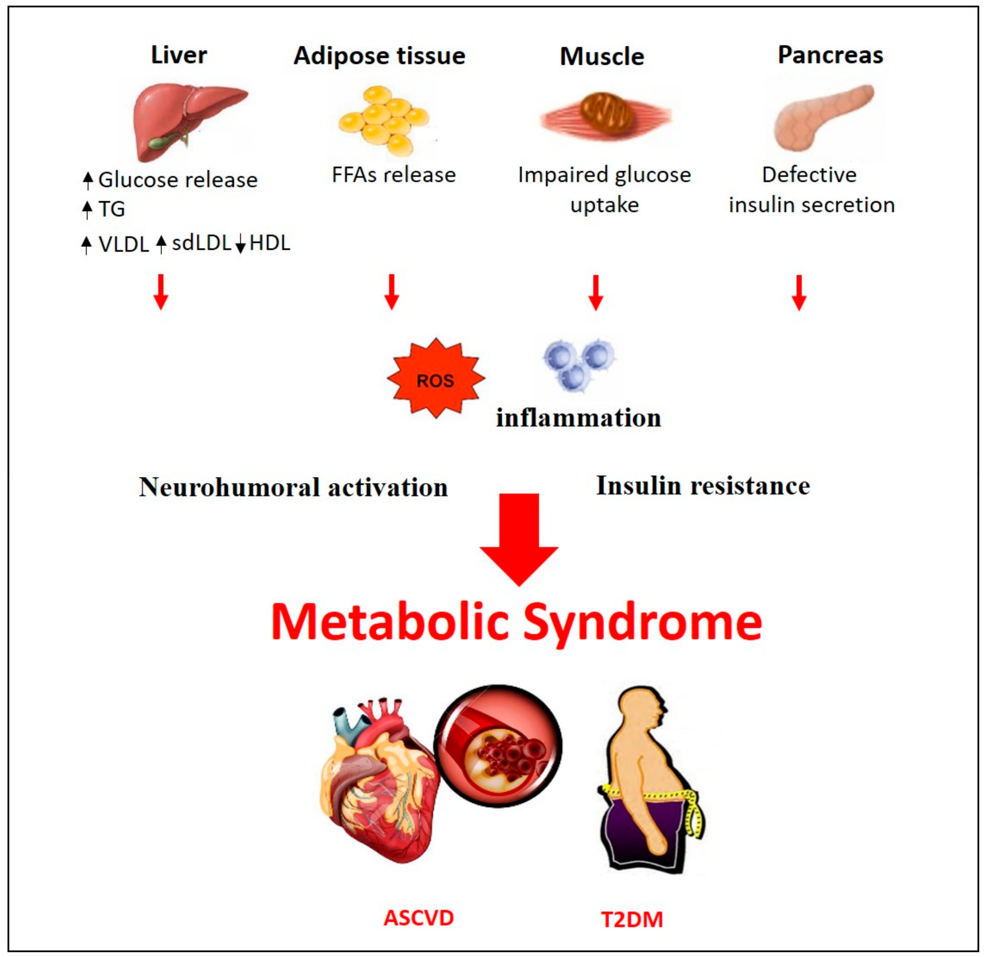 Nutrients 12 01504 g001