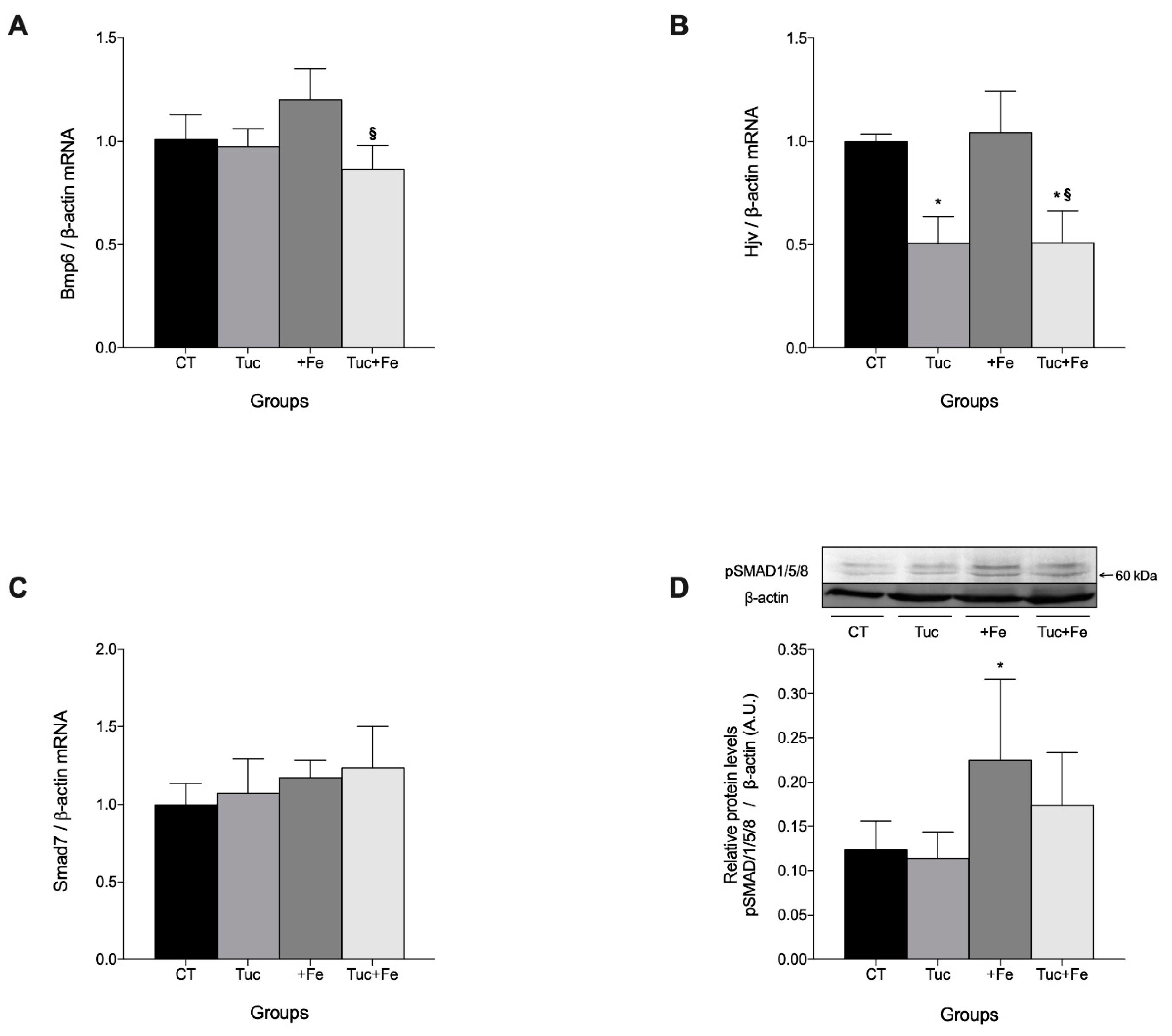 Nutrients 12 01515 g002 Nutrients 12 01515 g002