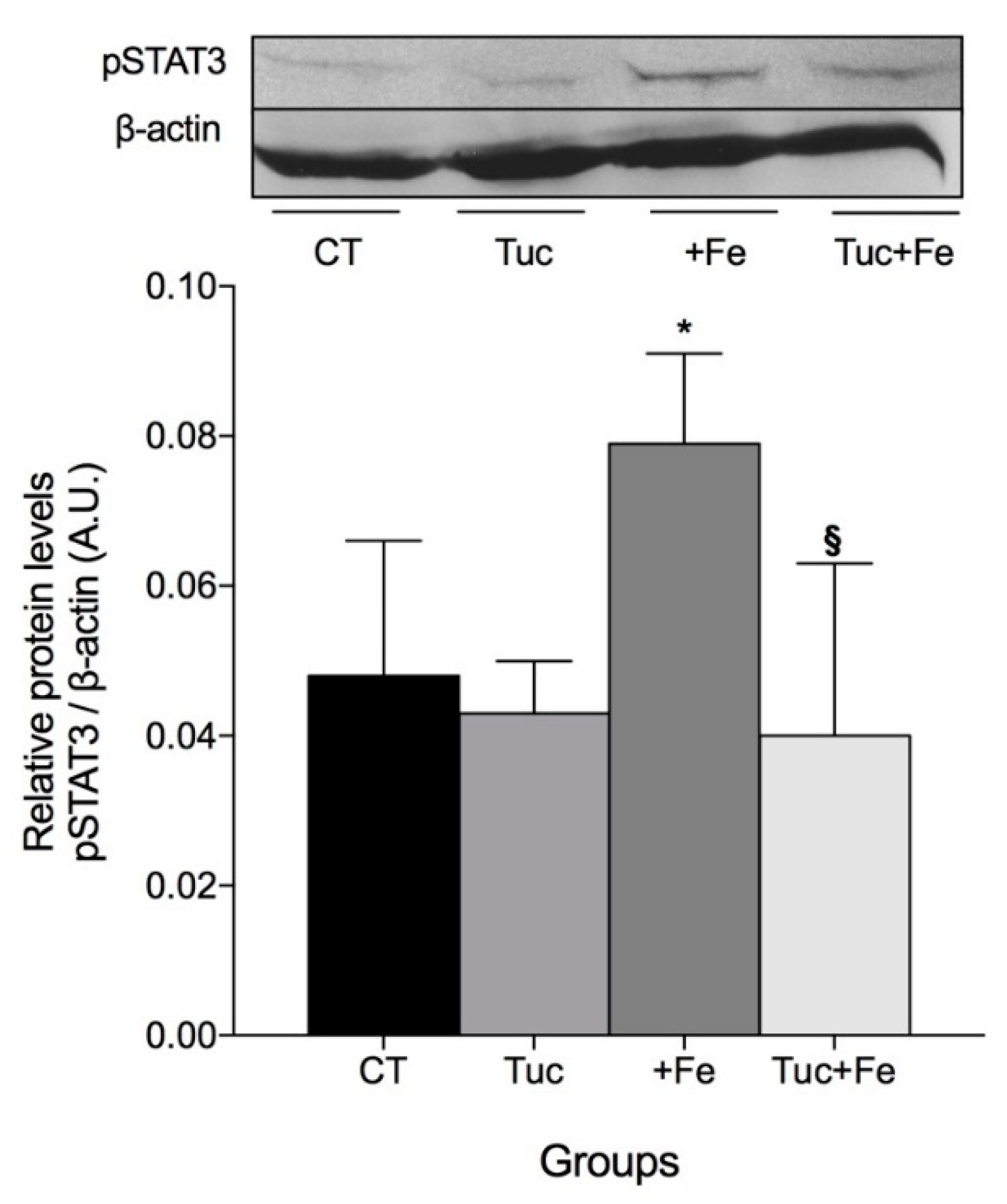 Nutrients 12 01515 g004 Nutrients 12 01515 g004