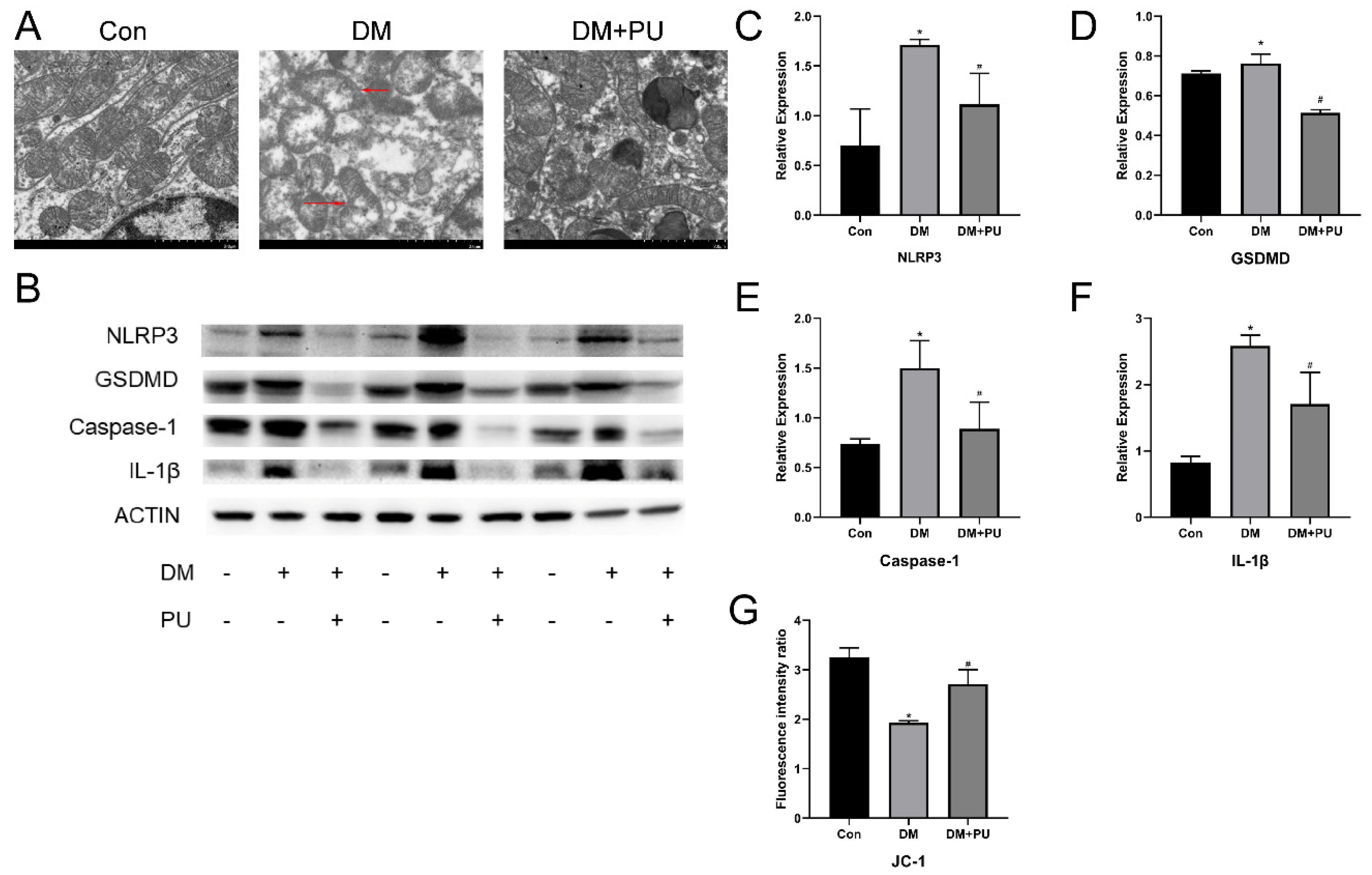Nutrients 12 01516 g003 Nutrients 12 01516 g003