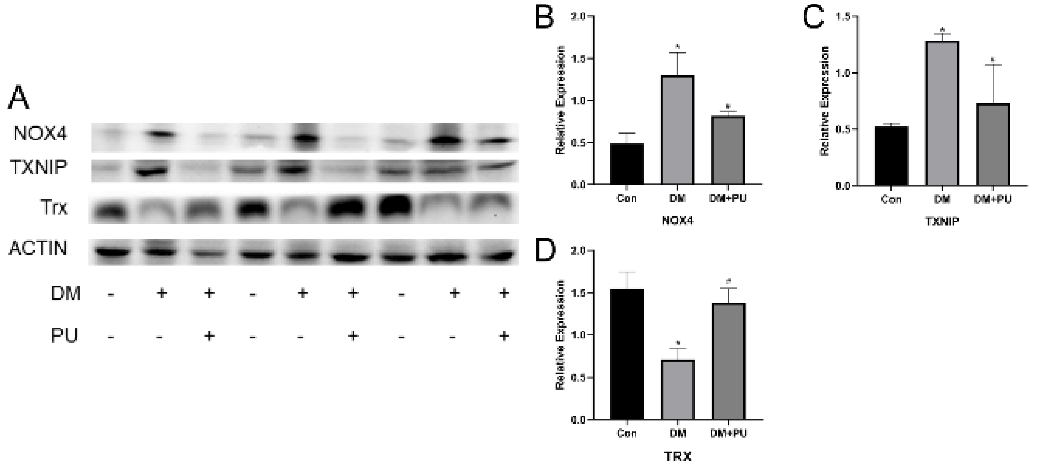 Nutrients 12 01516 g004 Nutrients 12 01516 g004