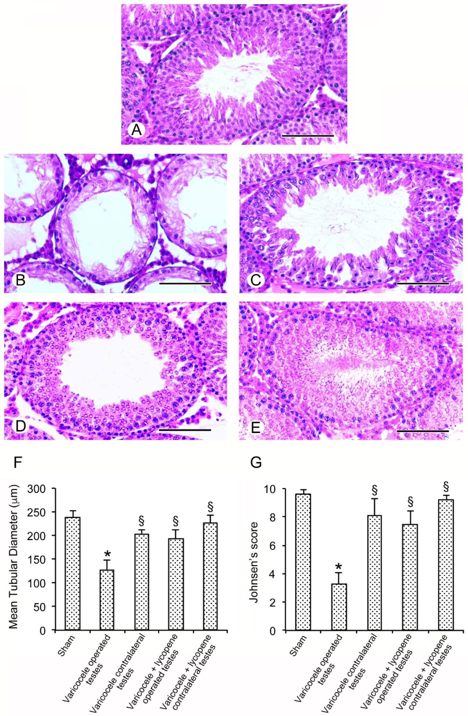 Nutrients 12 01536 g002