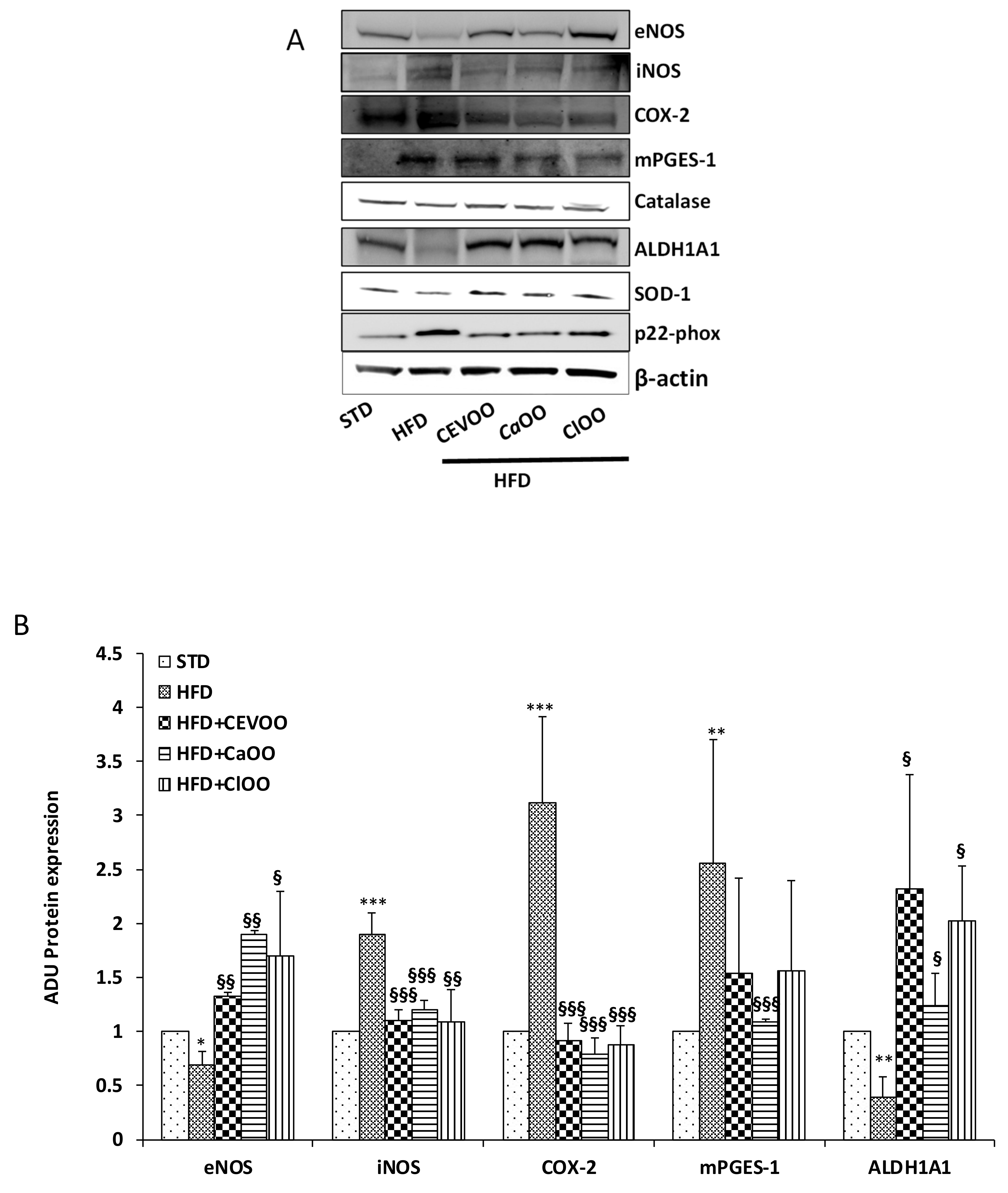 Nutrients 12 01557 g007