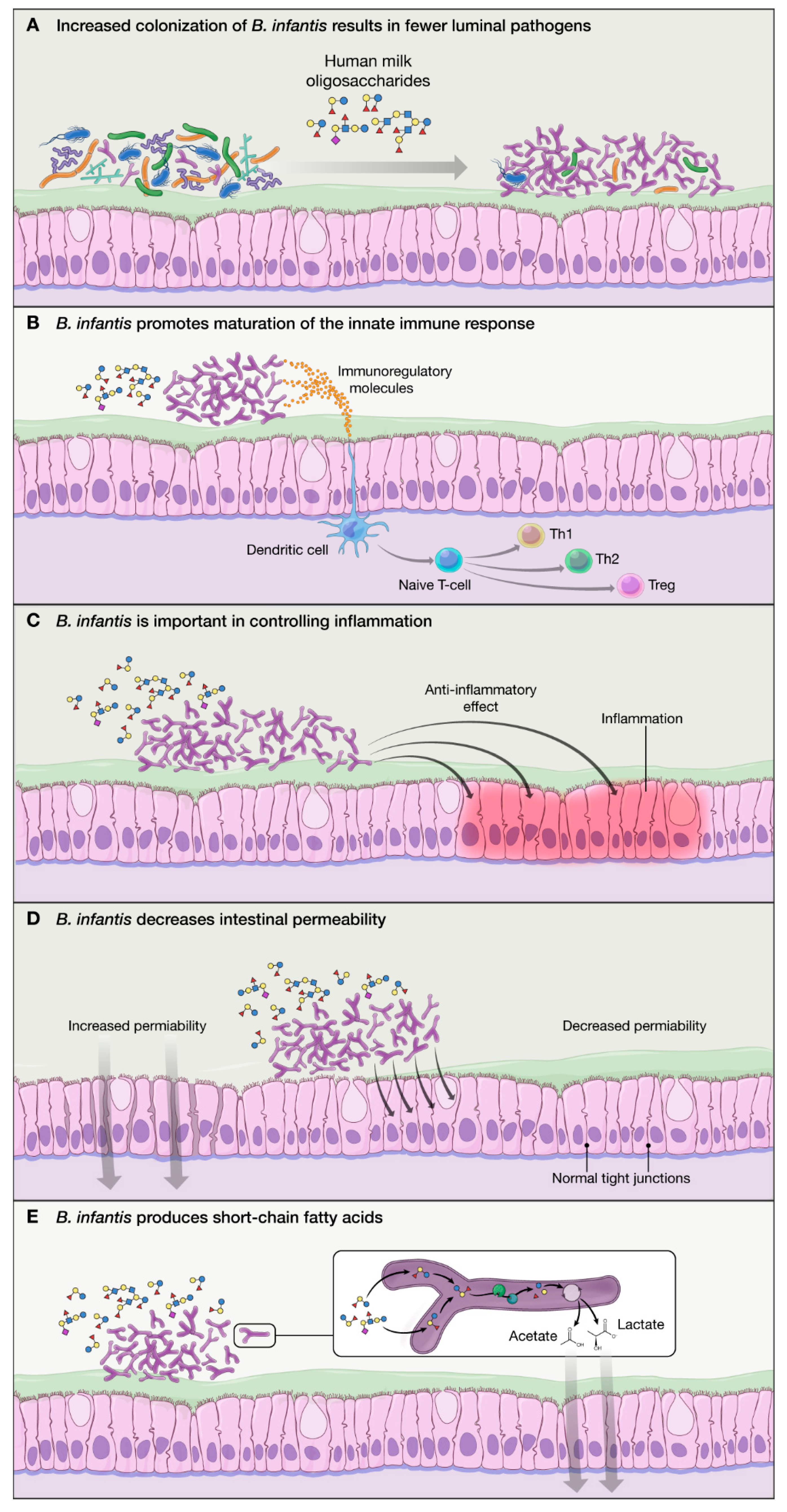 Nutrients 12 01581 g002 Nutrients 12 01581 g002
