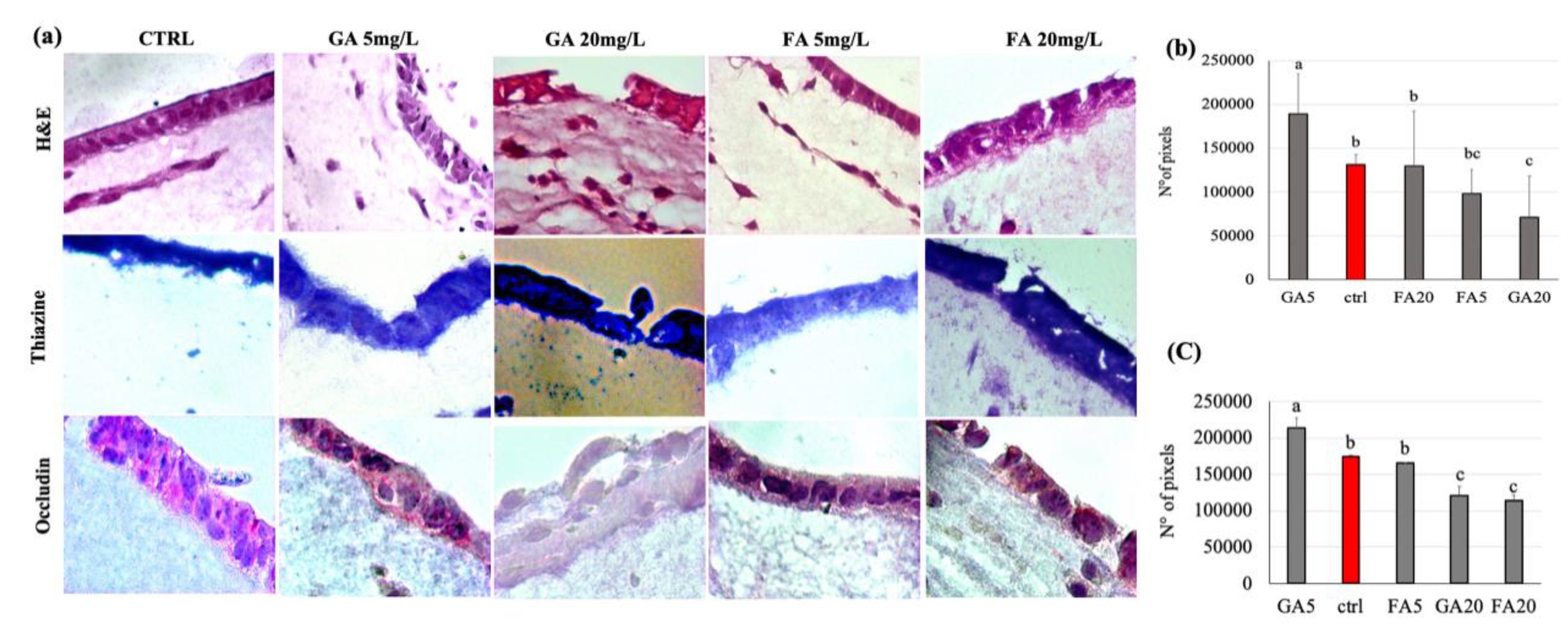 Nutrients 12 01591 g006