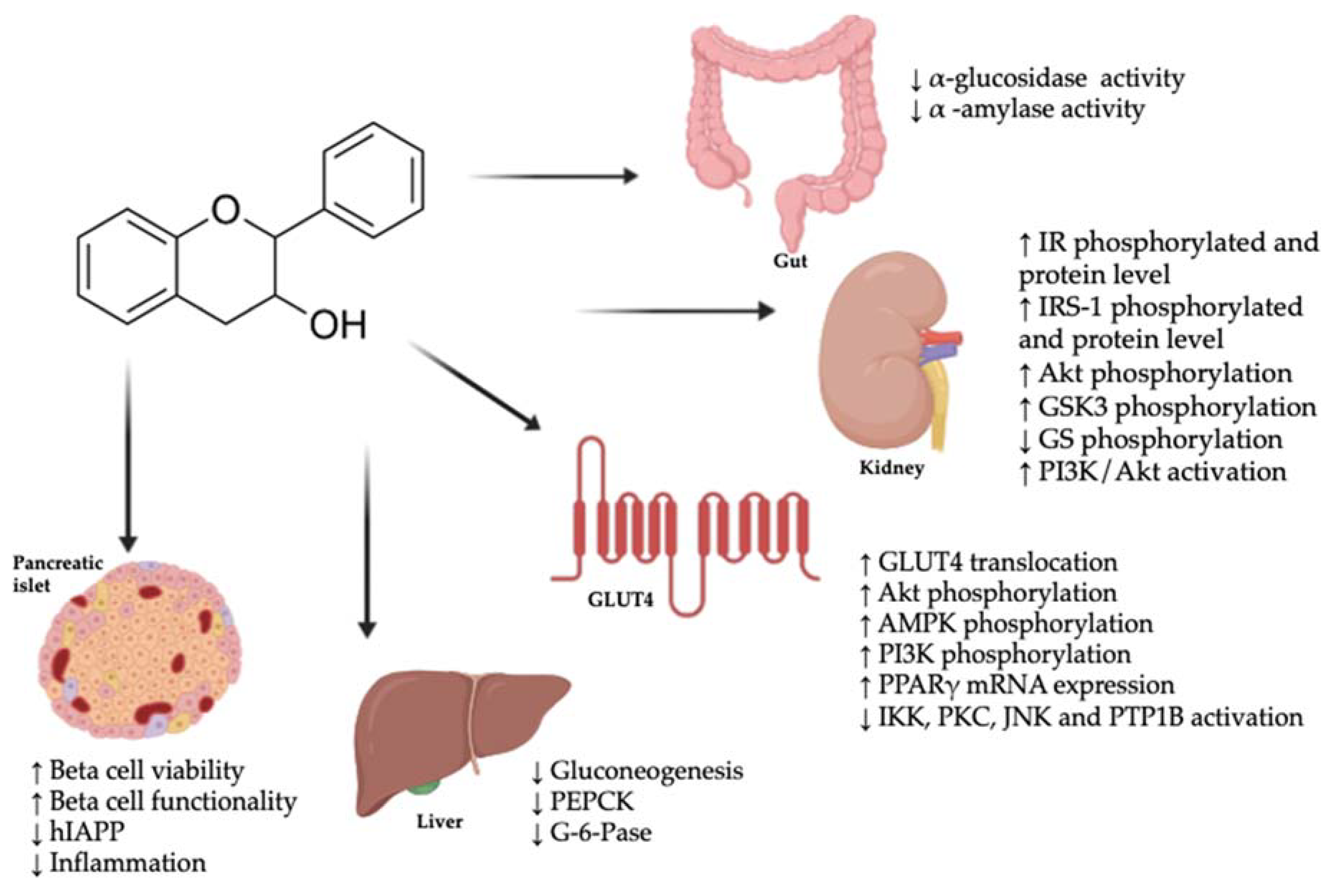 Nutrients 12 01592 g001