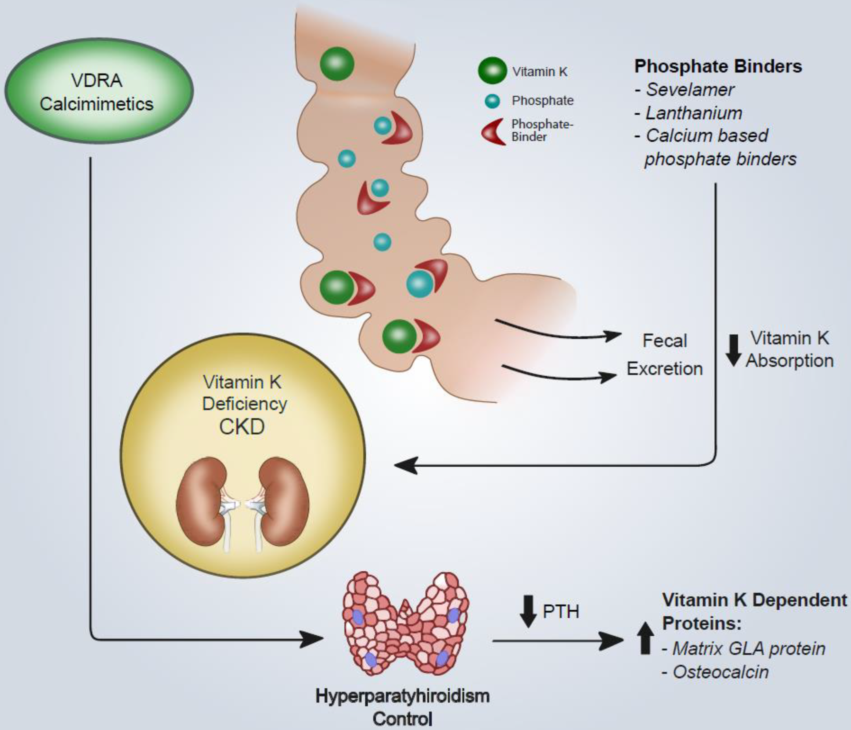 Nutrients 12 01609 g001