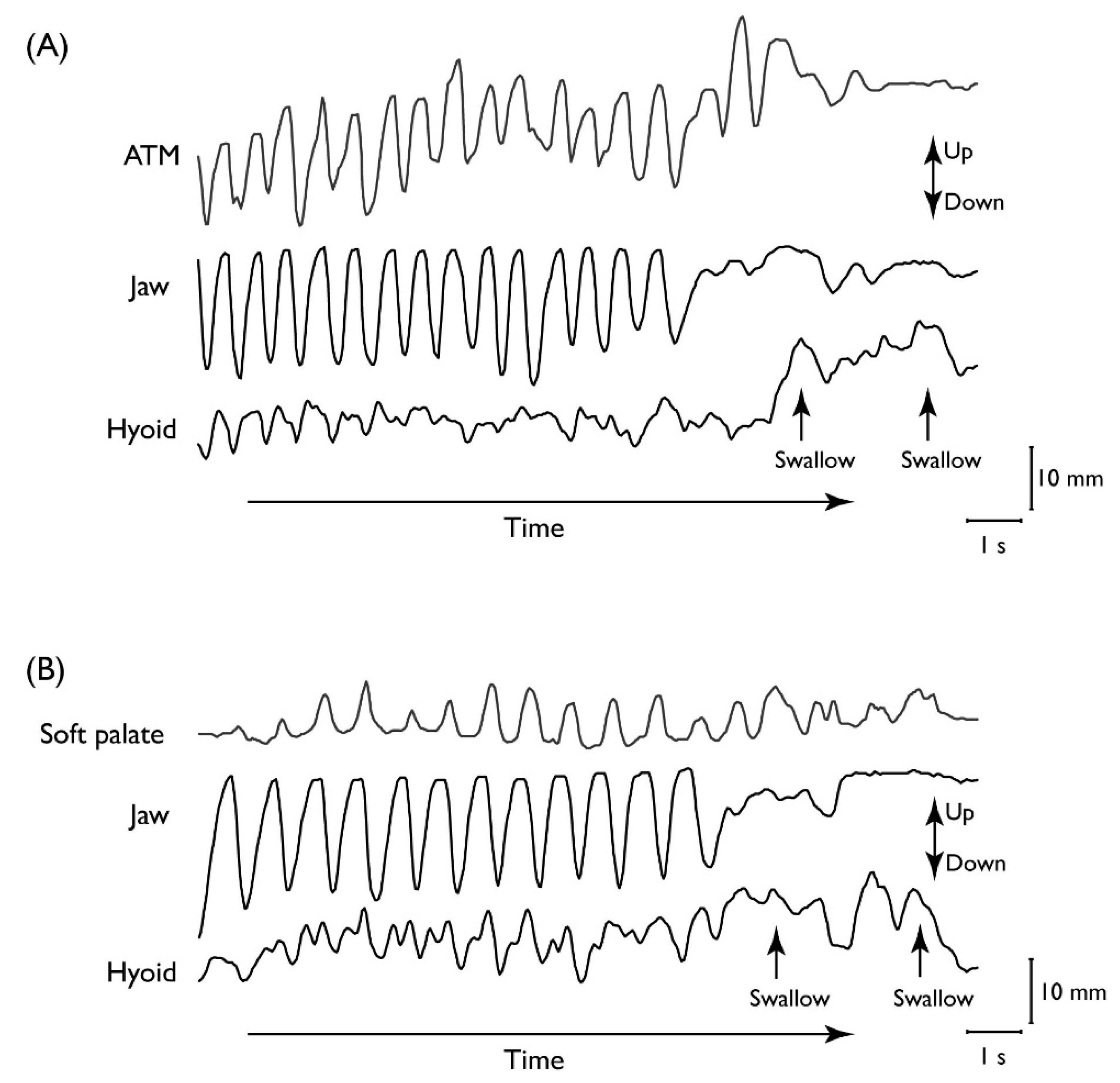 Nutrients 12 01613 g002
