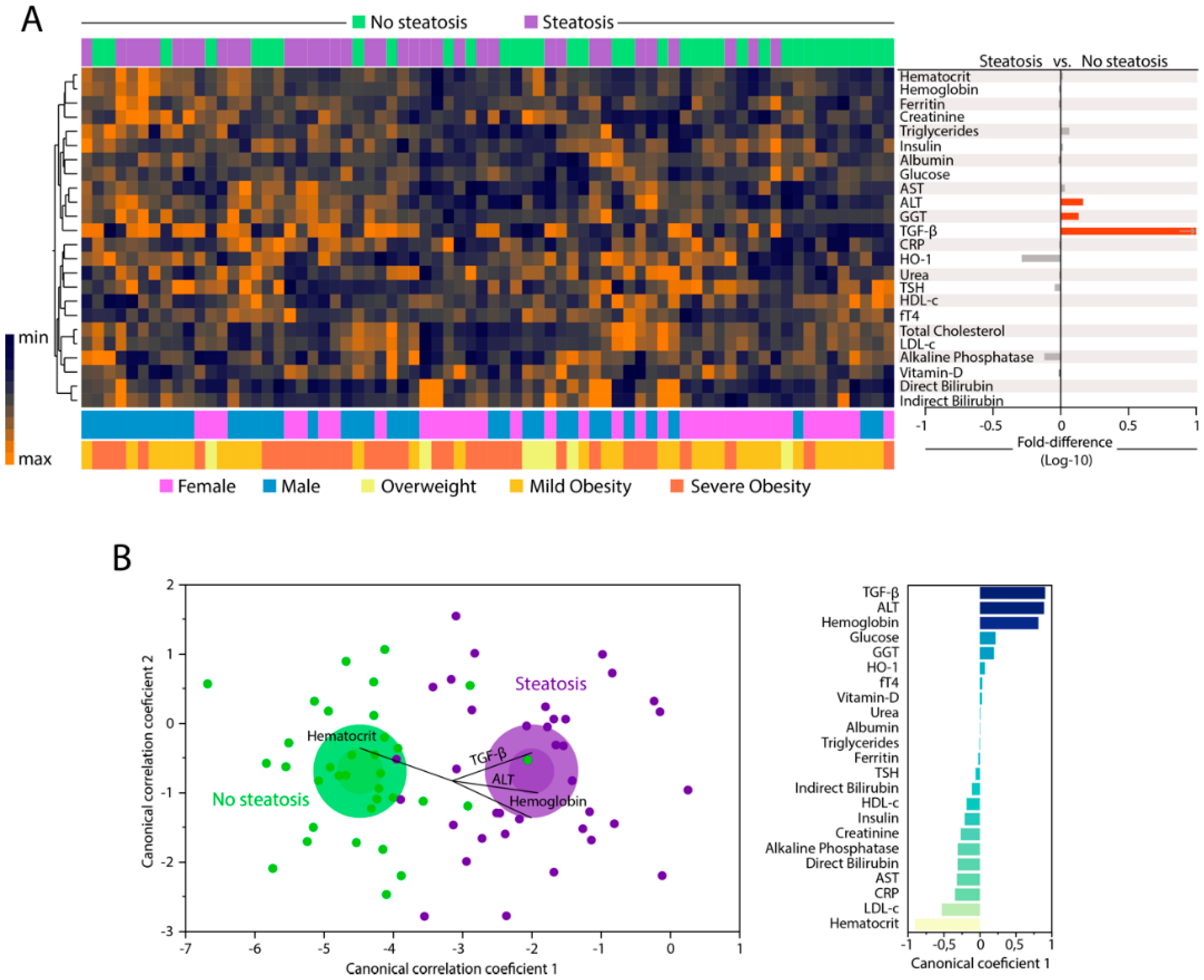 Nutrients 12 01650 g001
