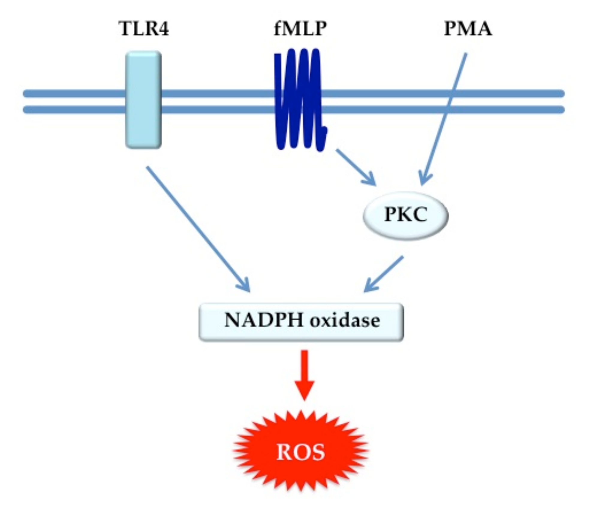 Nutrients 12 01651 g002
