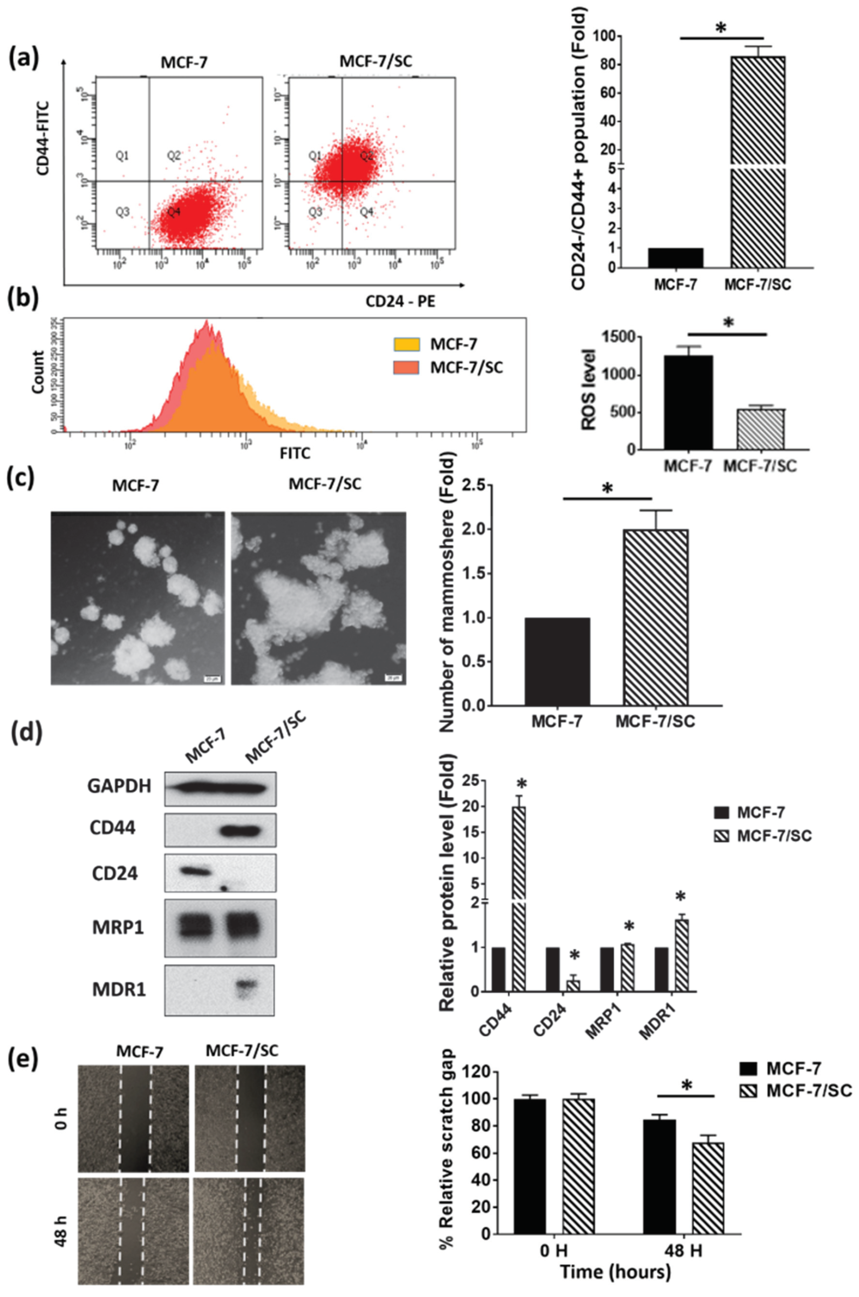Nutrients 12 01663 g001