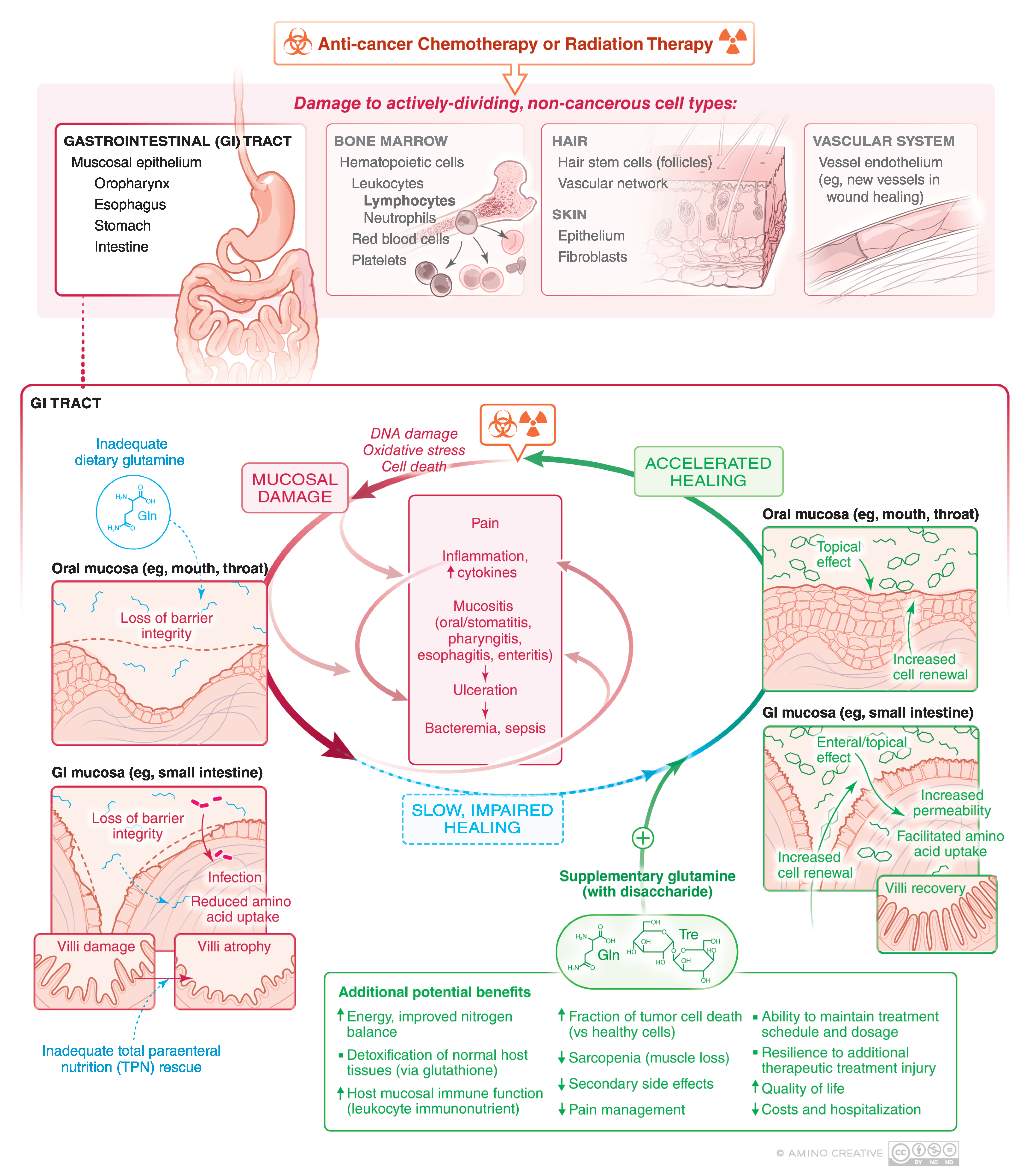 Nutrients 12 01675 g001
