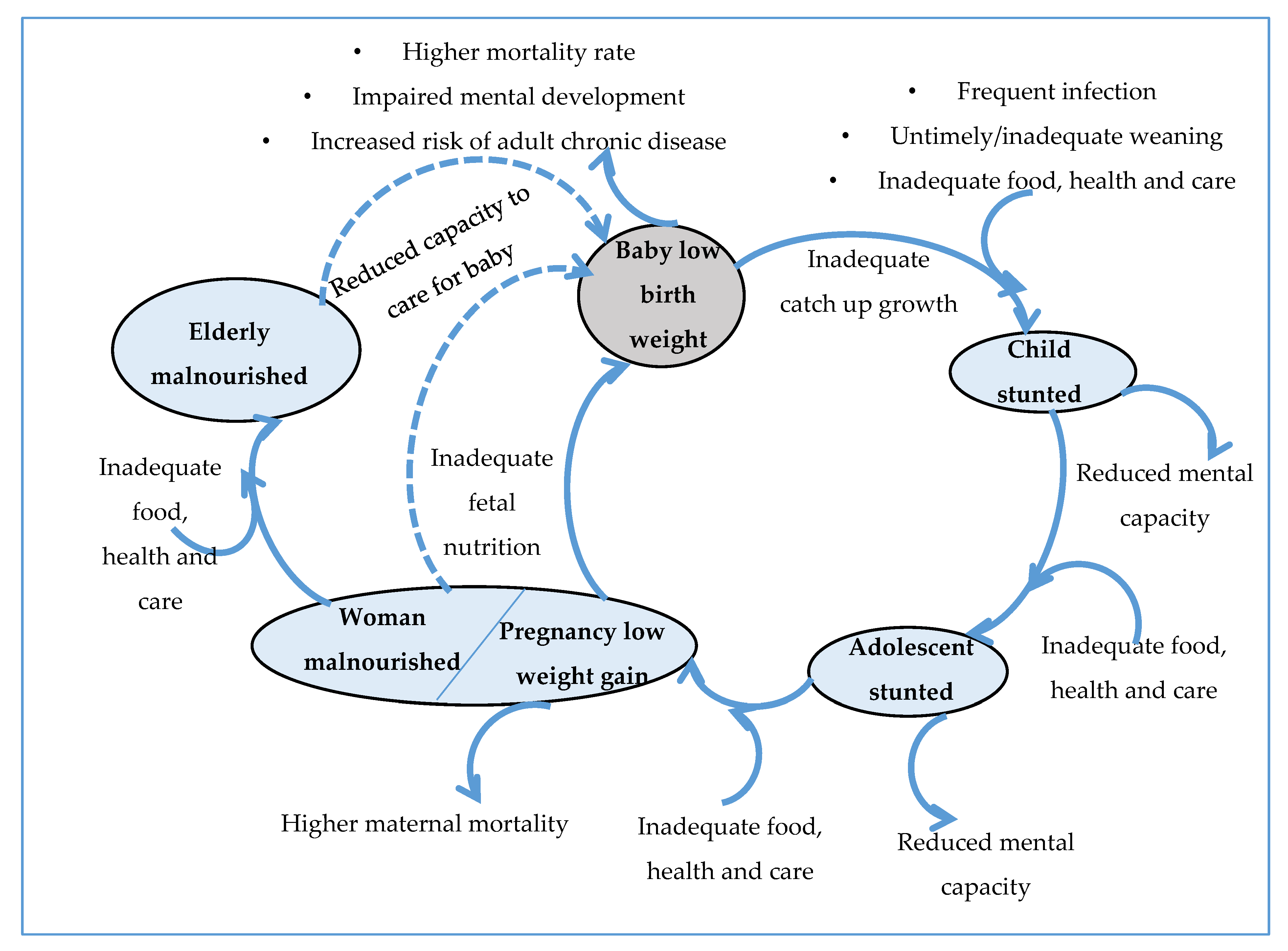 Nutrients 12 01681 g001