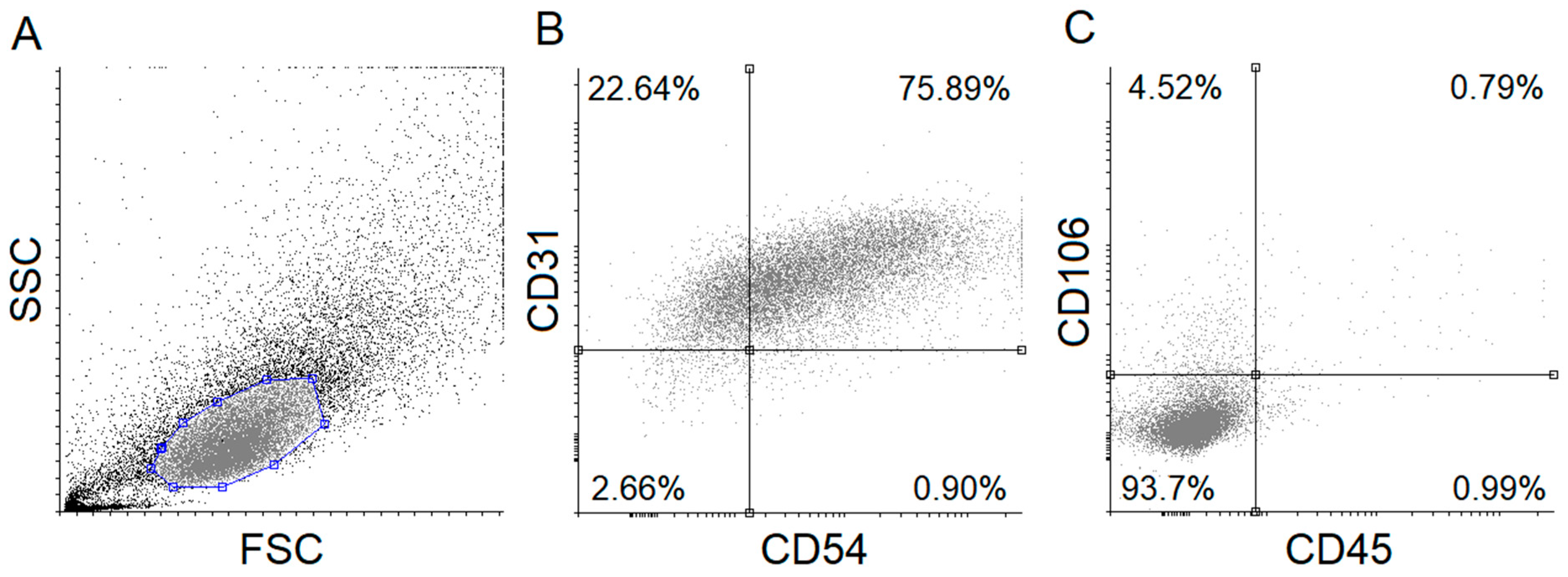 Nutrients 12 01690 g001