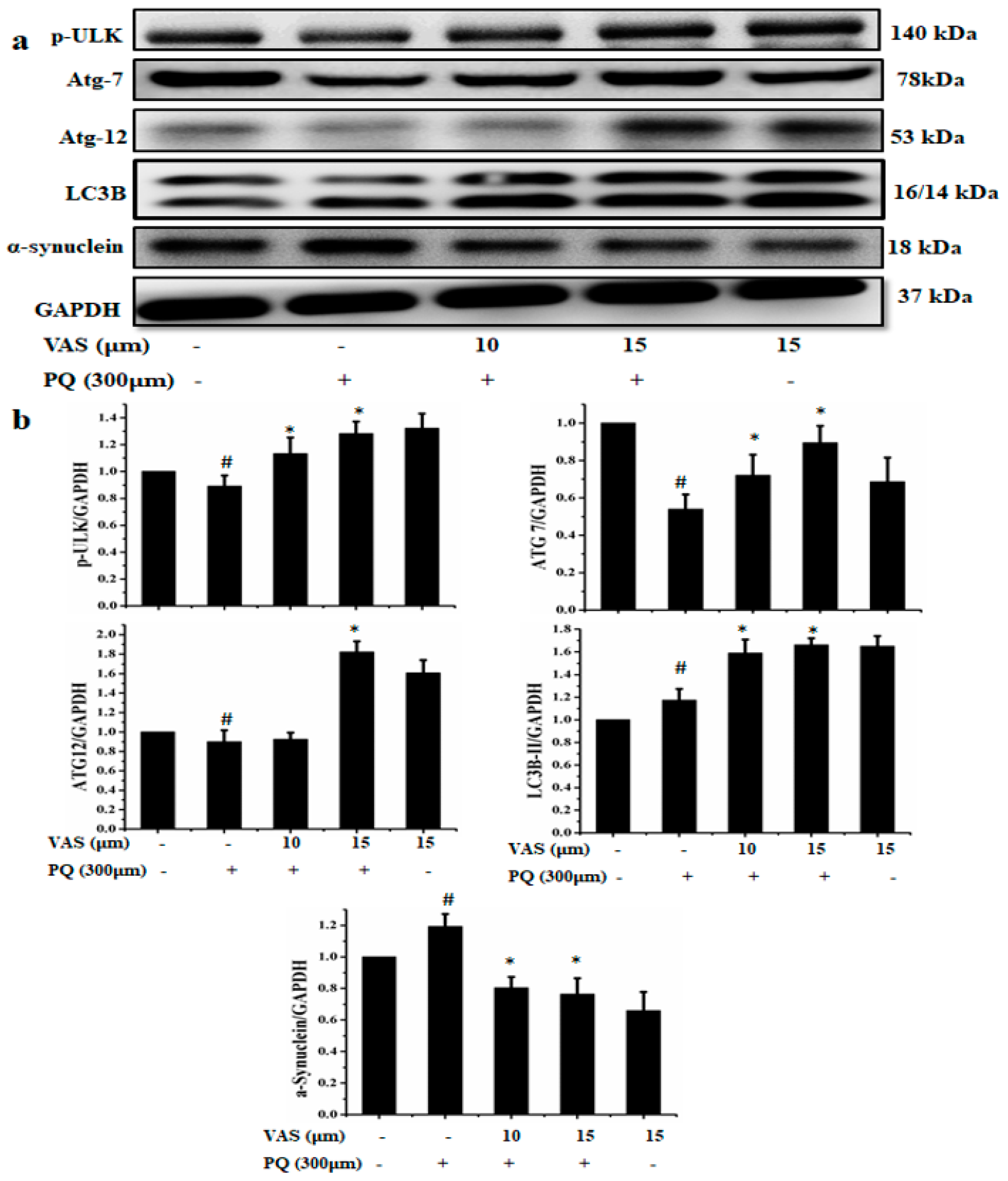 Nutrients 12 01707 g005