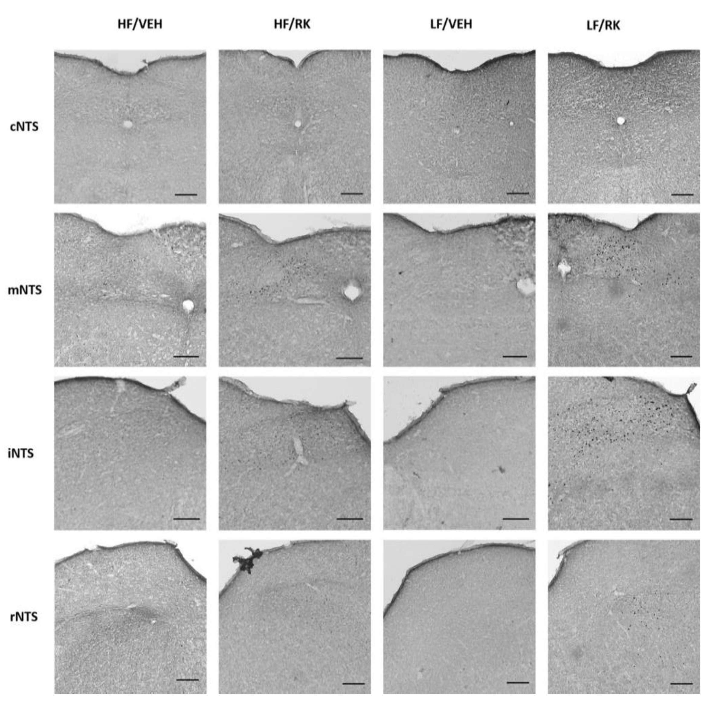 Nutrients 12 01754 g007