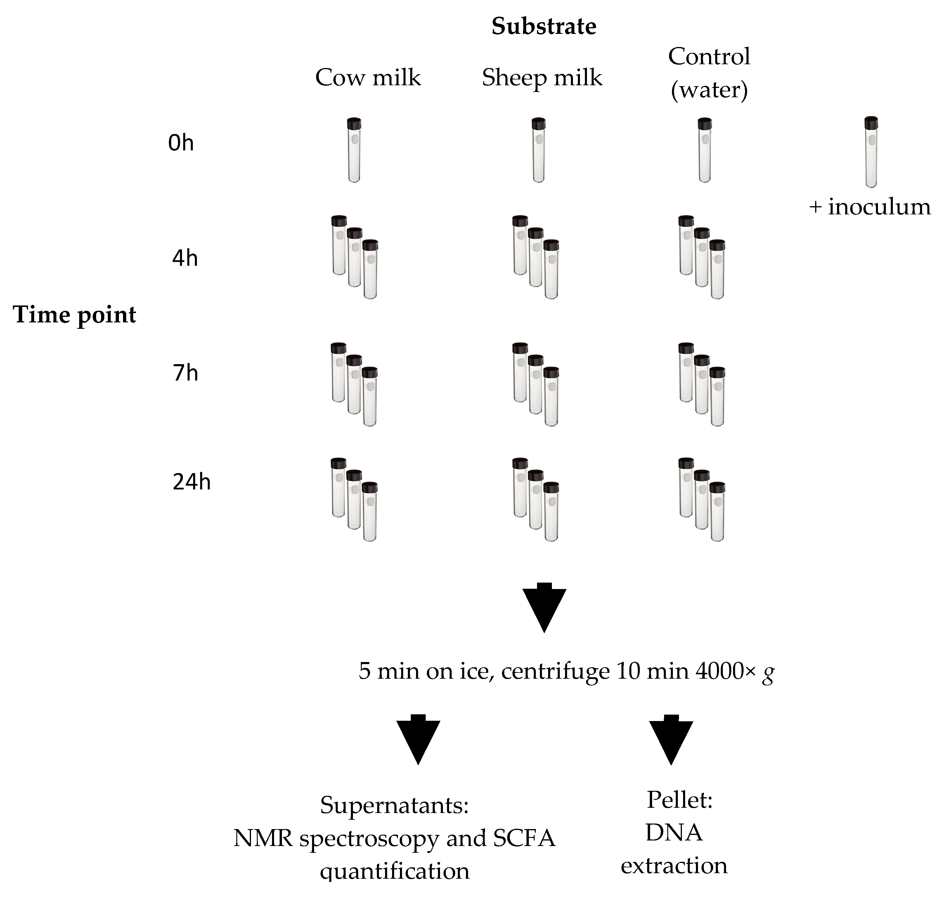 Nutrients 12 01802 g001