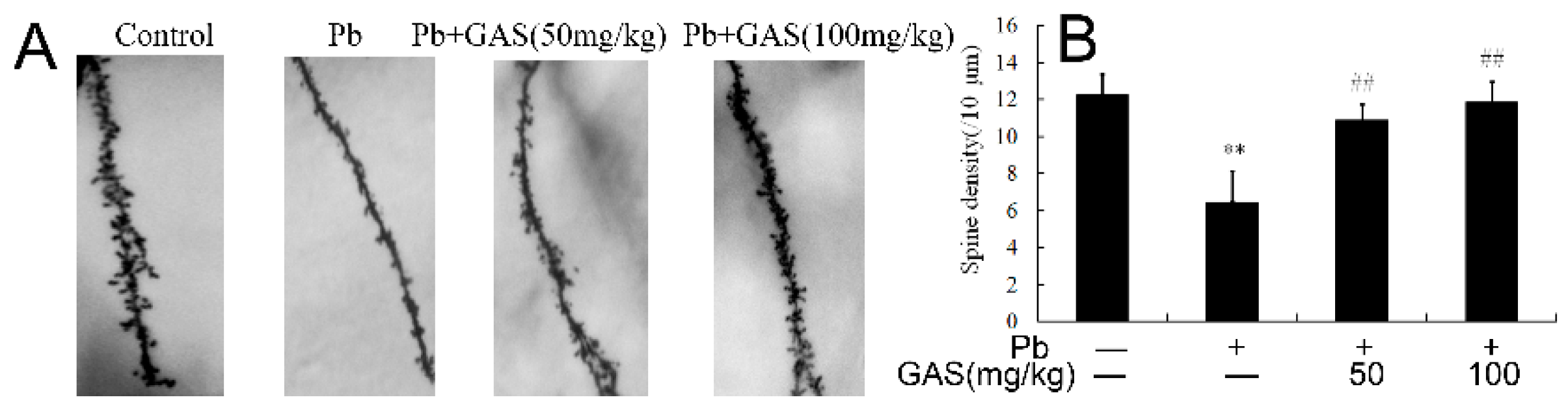 Nutrients 12 01805 g001
