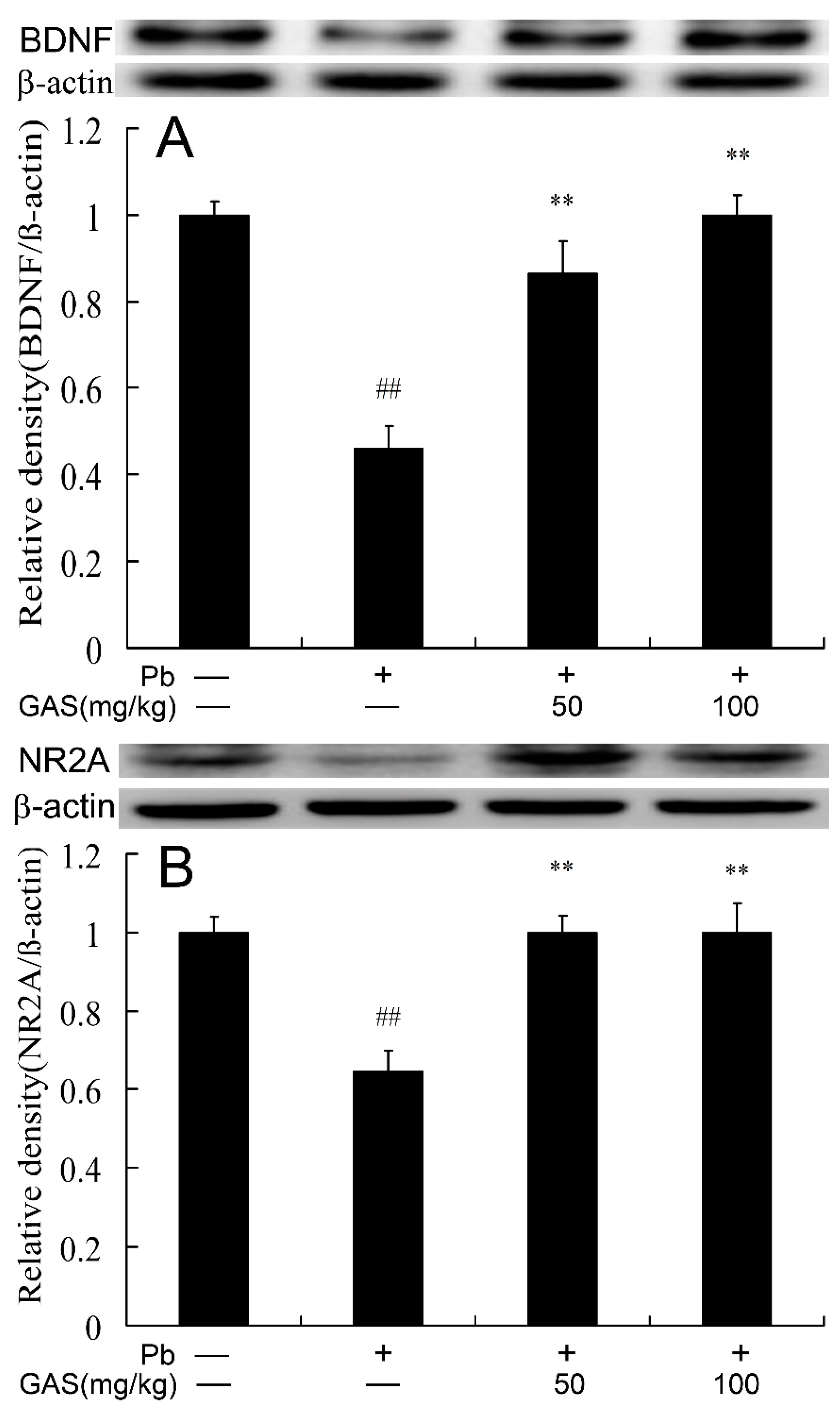 Nutrients 12 01805 g003