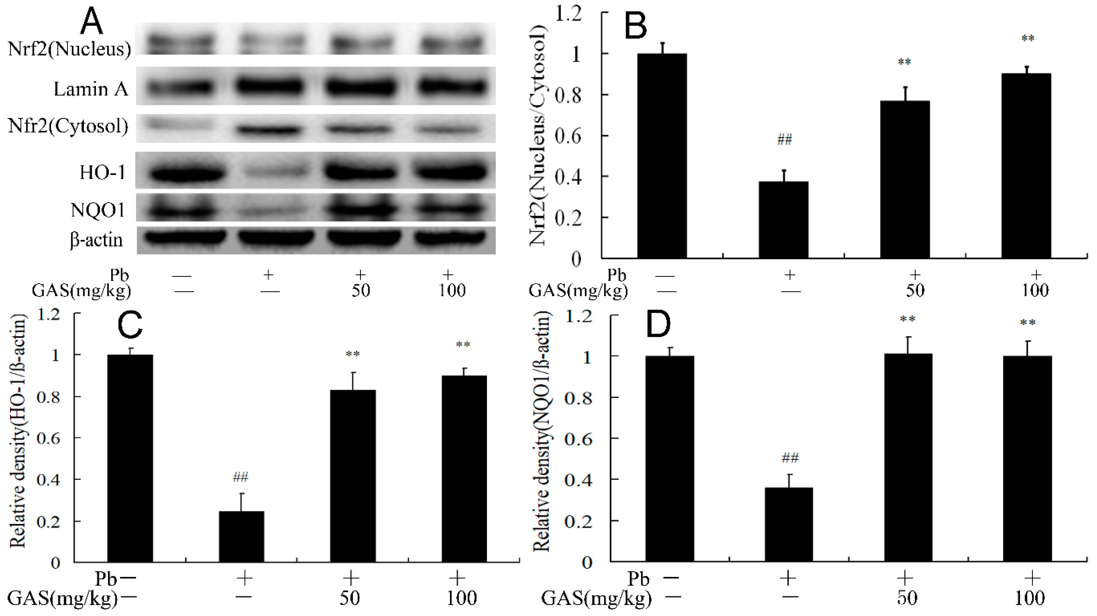 Nutrients 12 01805 g004
