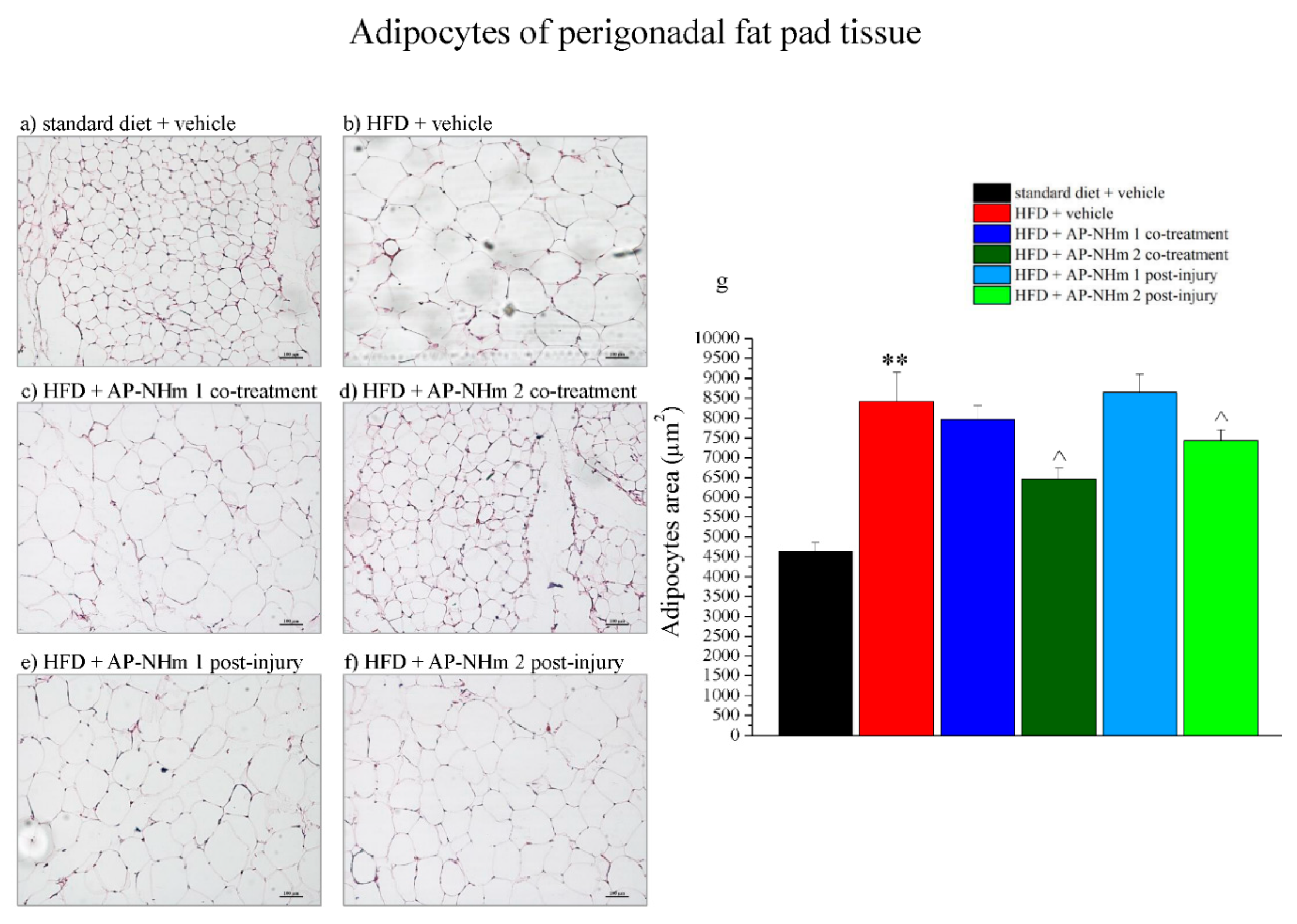 Nutrients 12 01819 g007 Nutrients 12 01819 g007