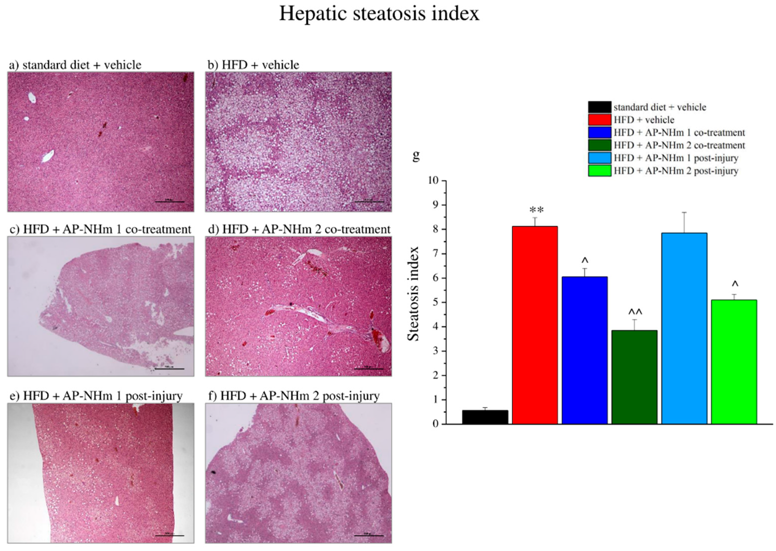 Nutrients 12 01819 g008 Nutrients 12 01819 g008