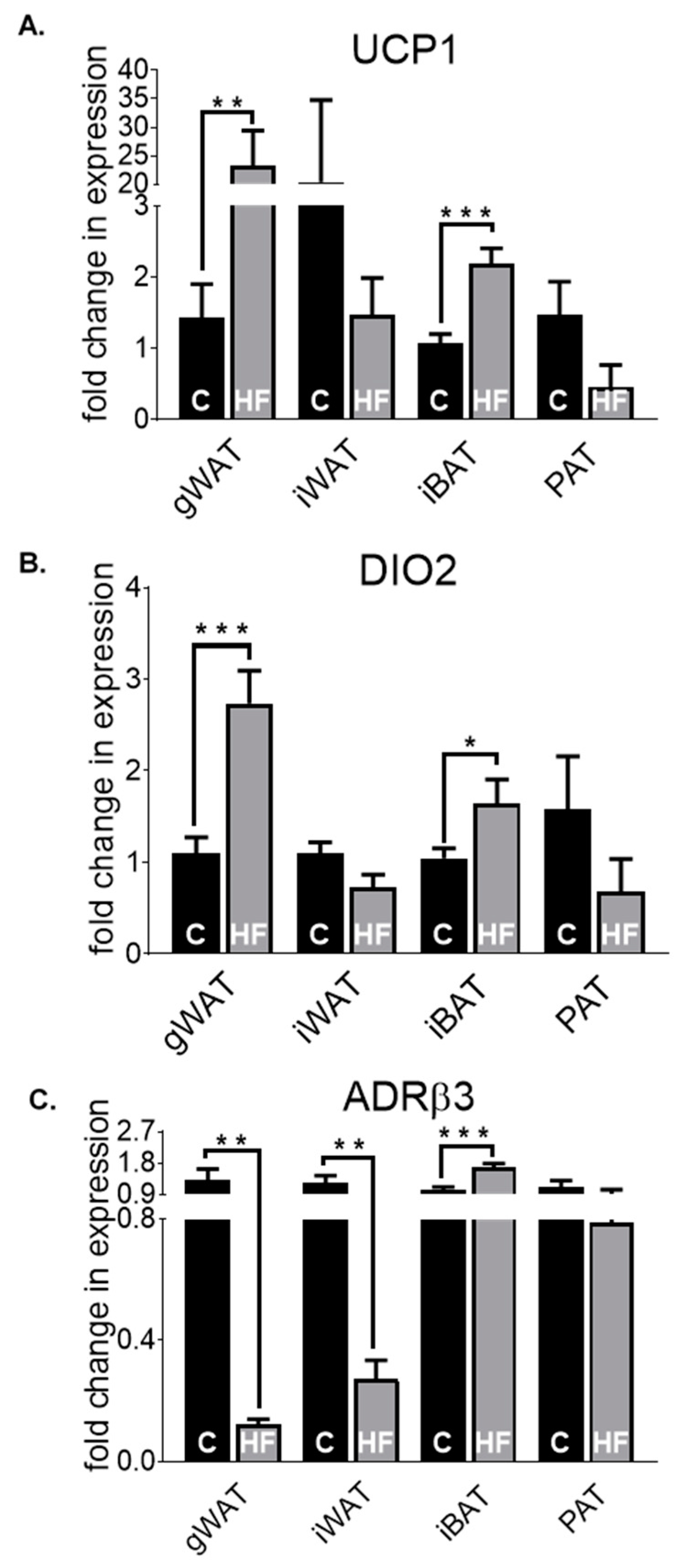 Nutrients 12 01855 g005