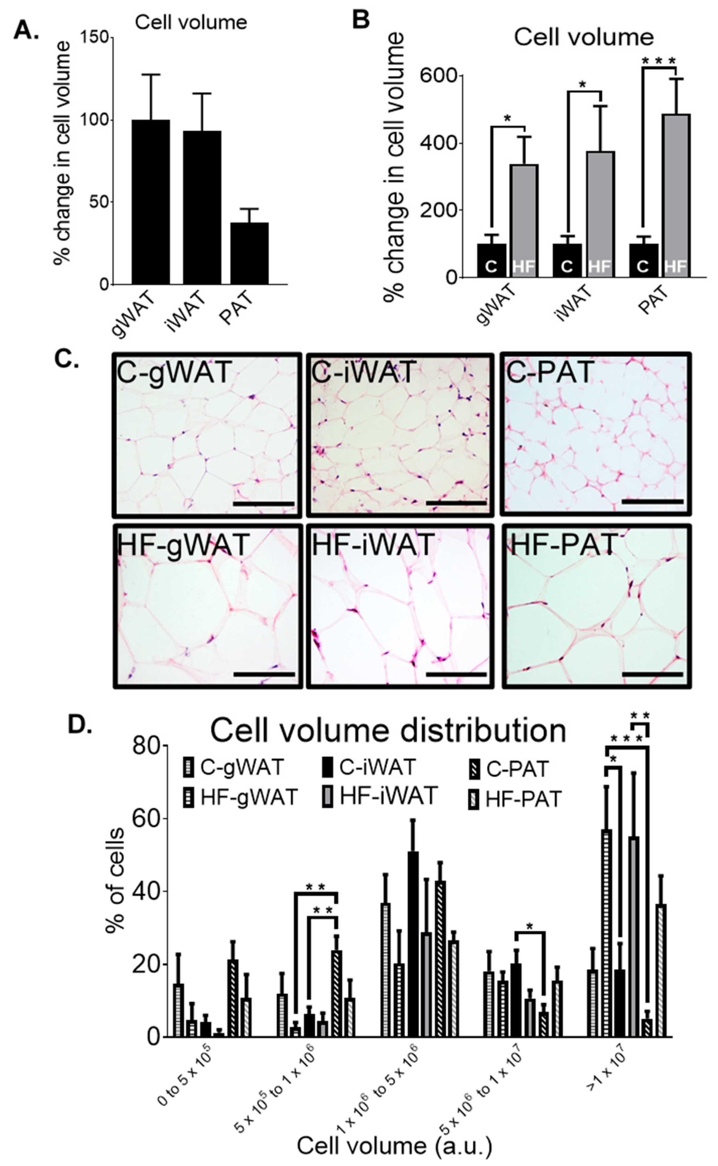 Nutrients 12 01855 g007