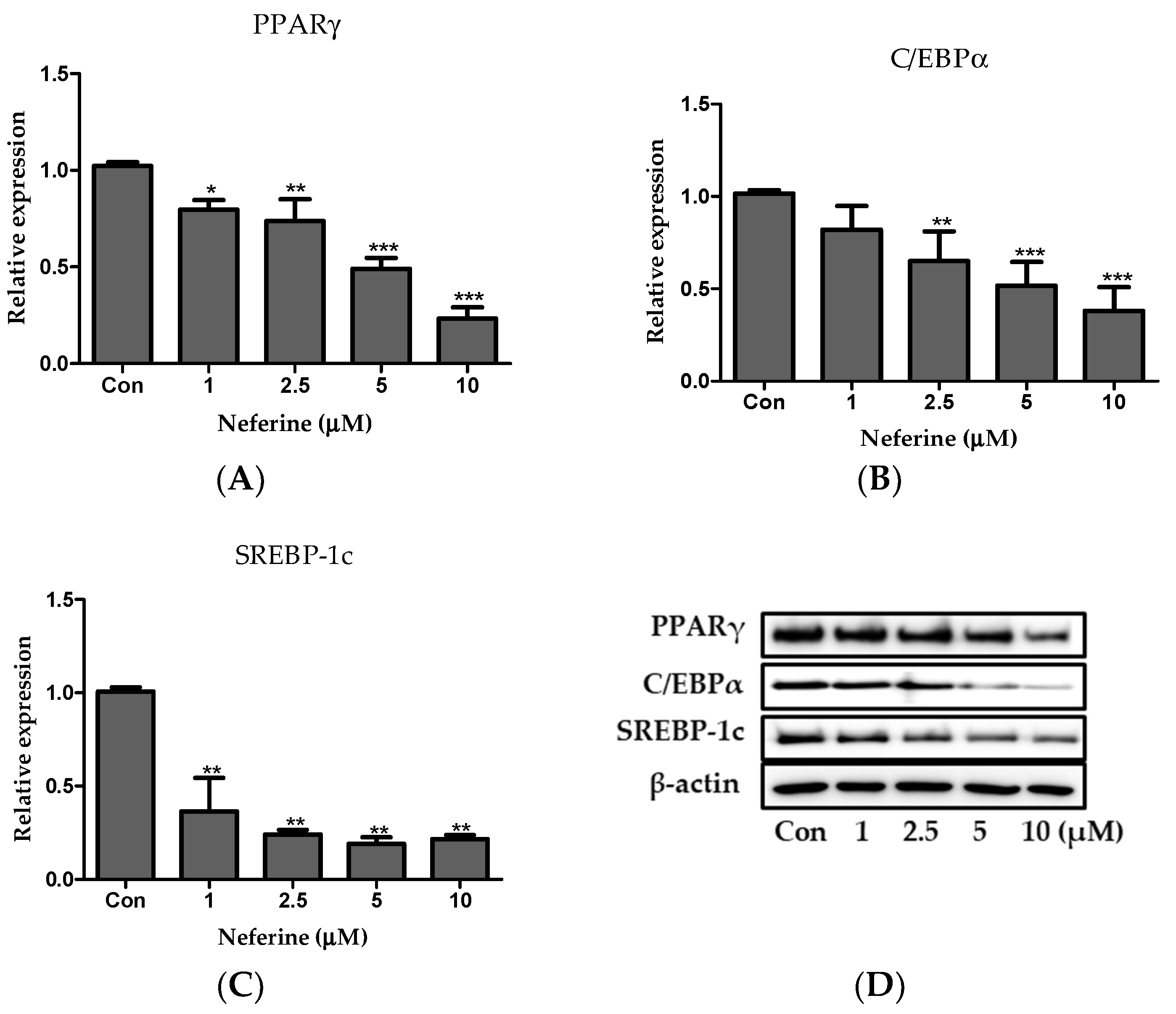 Nutrients 12 01858 g004 Nutrients 12 01858 g004