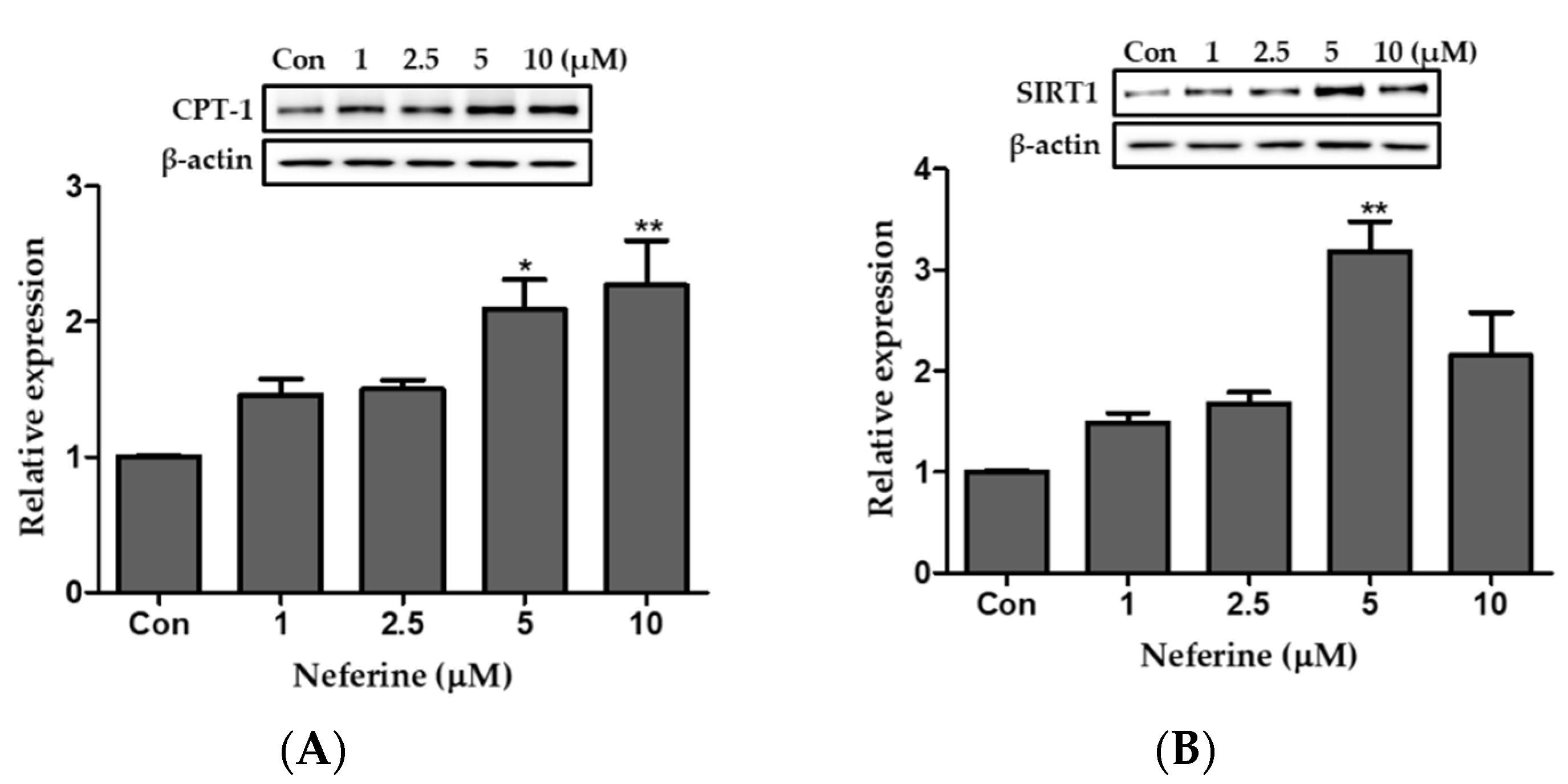 Nutrients 12 01858 g005 Nutrients 12 01858 g005