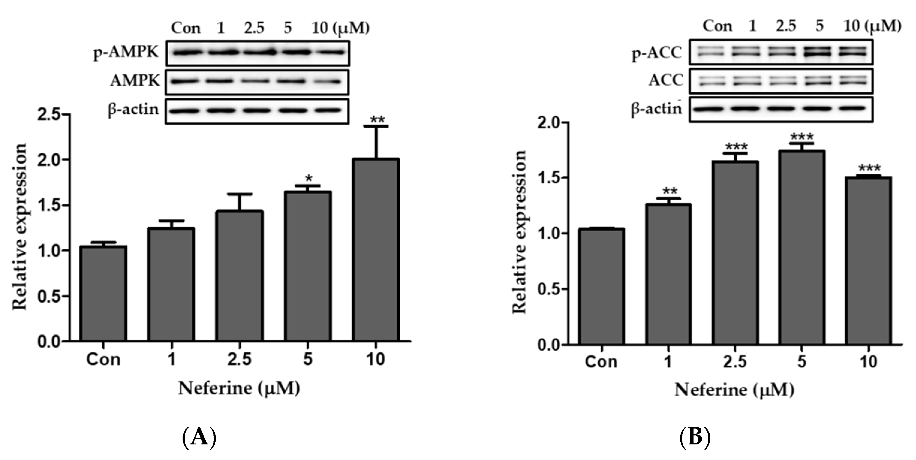 Nutrients 12 01858 g006 Nutrients 12 01858 g006