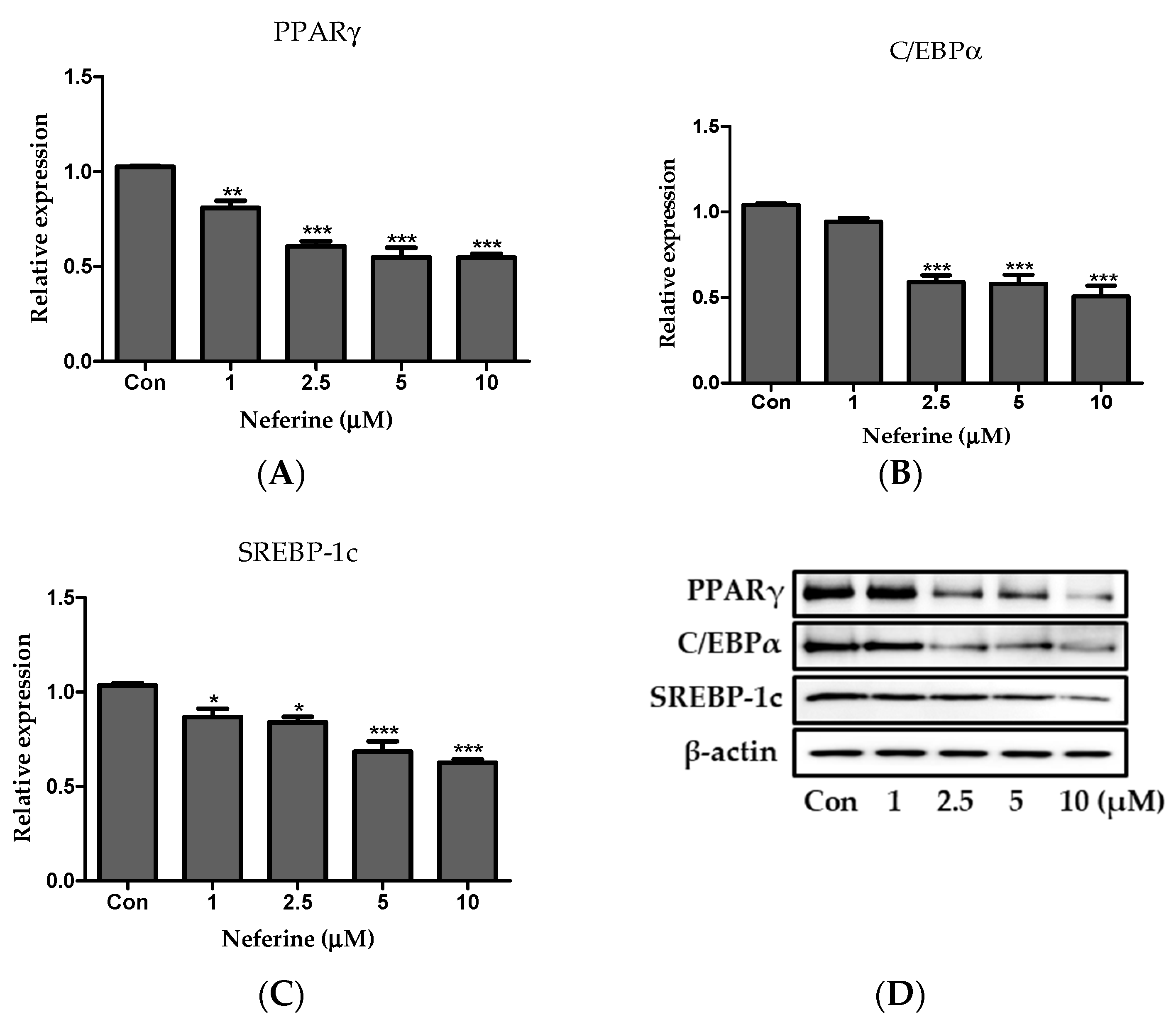 Nutrients 12 01858 g007 Nutrients 12 01858 g007