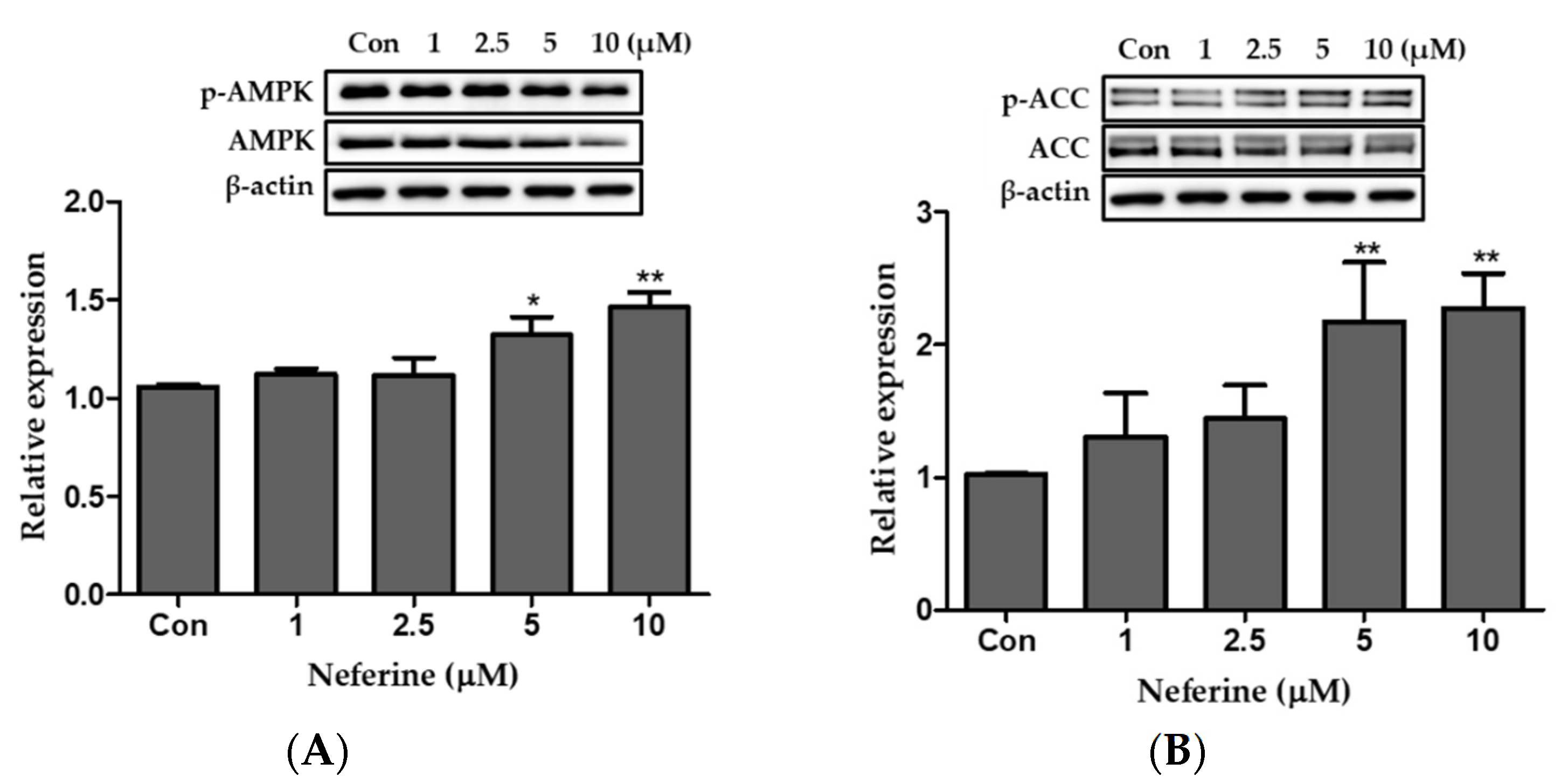 Nutrients 12 01858 g008 Nutrients 12 01858 g008
