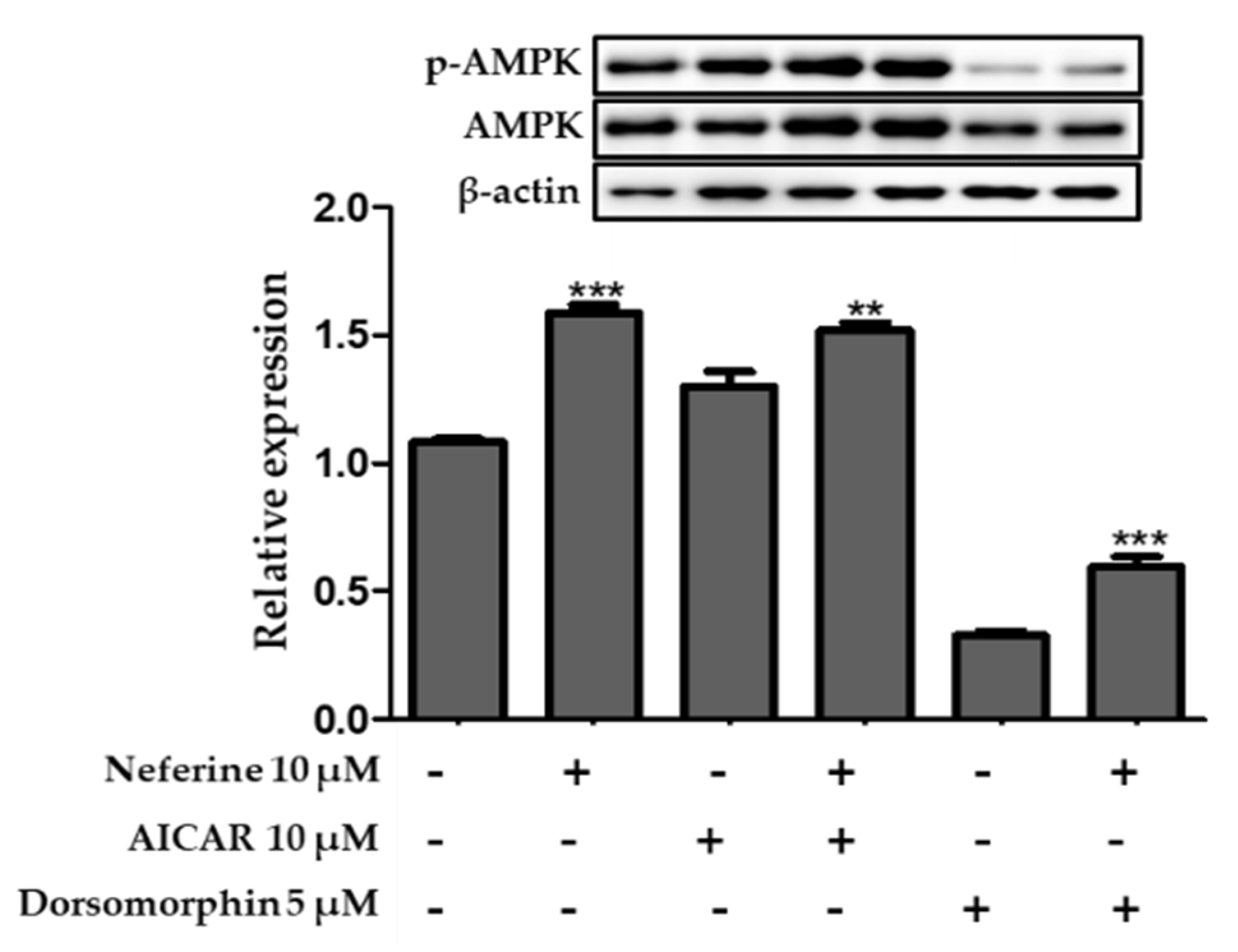 Nutrients 12 01858 g009 Nutrients 12 01858 g009