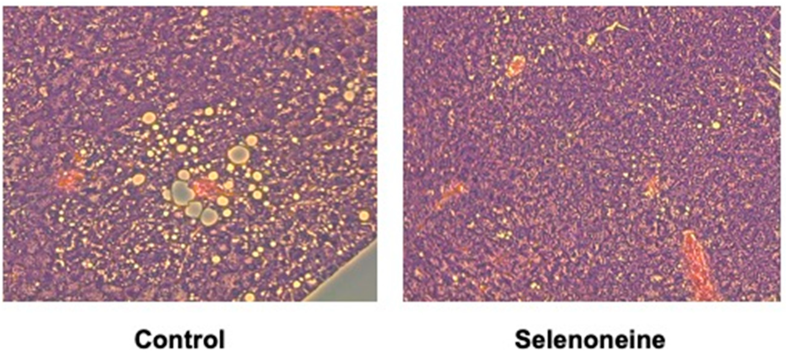Nutrients 12 01898 g006