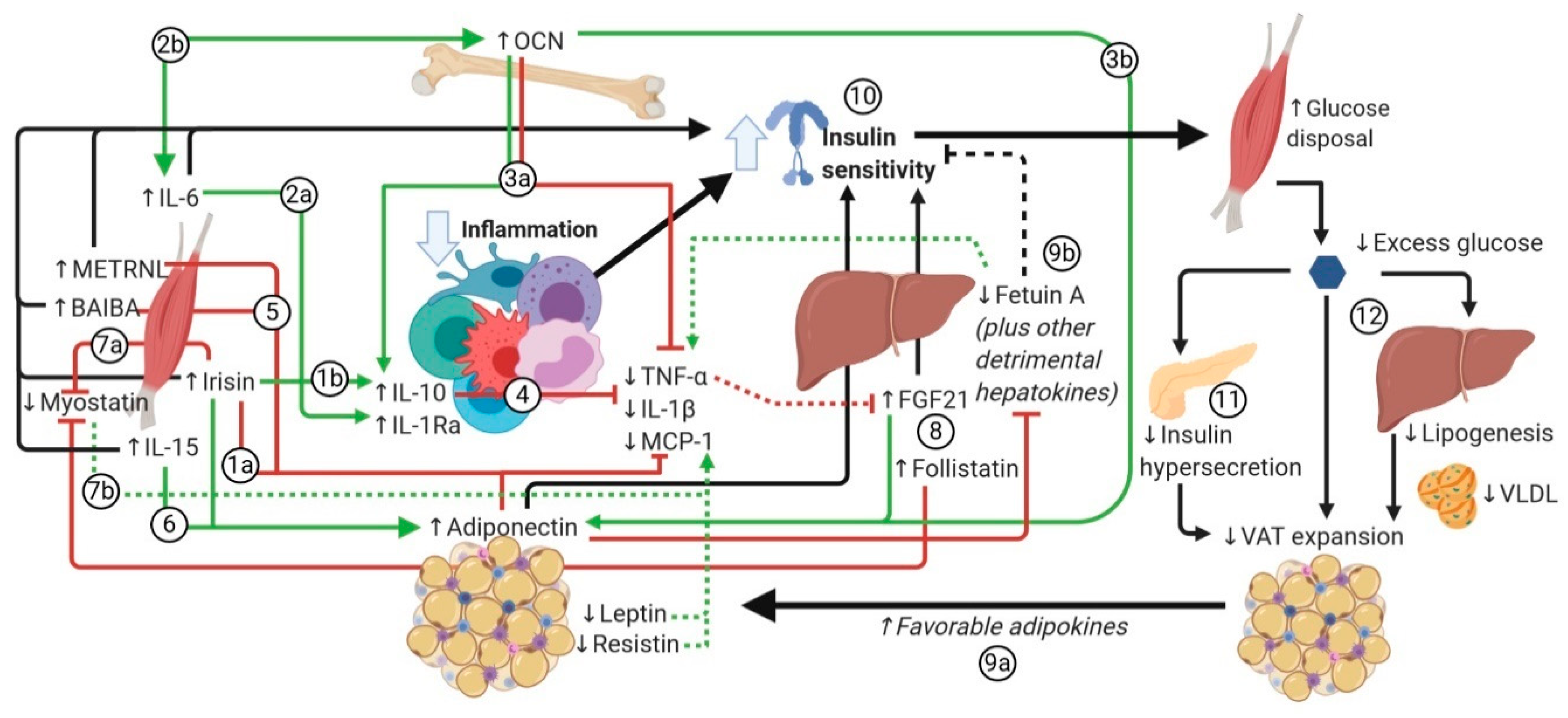 Nutrients 12 01899 g002