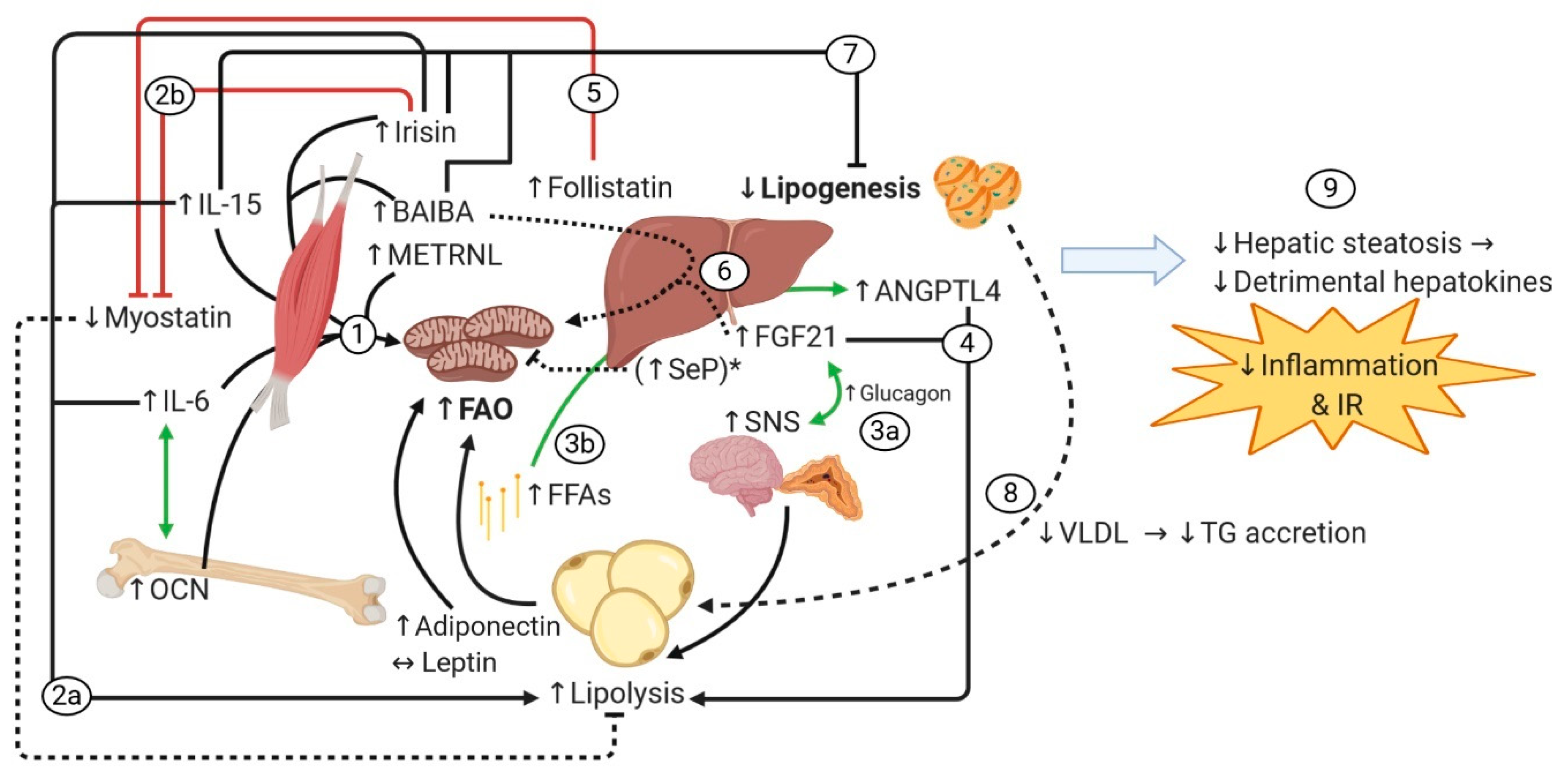 Nutrients 12 01899 g004