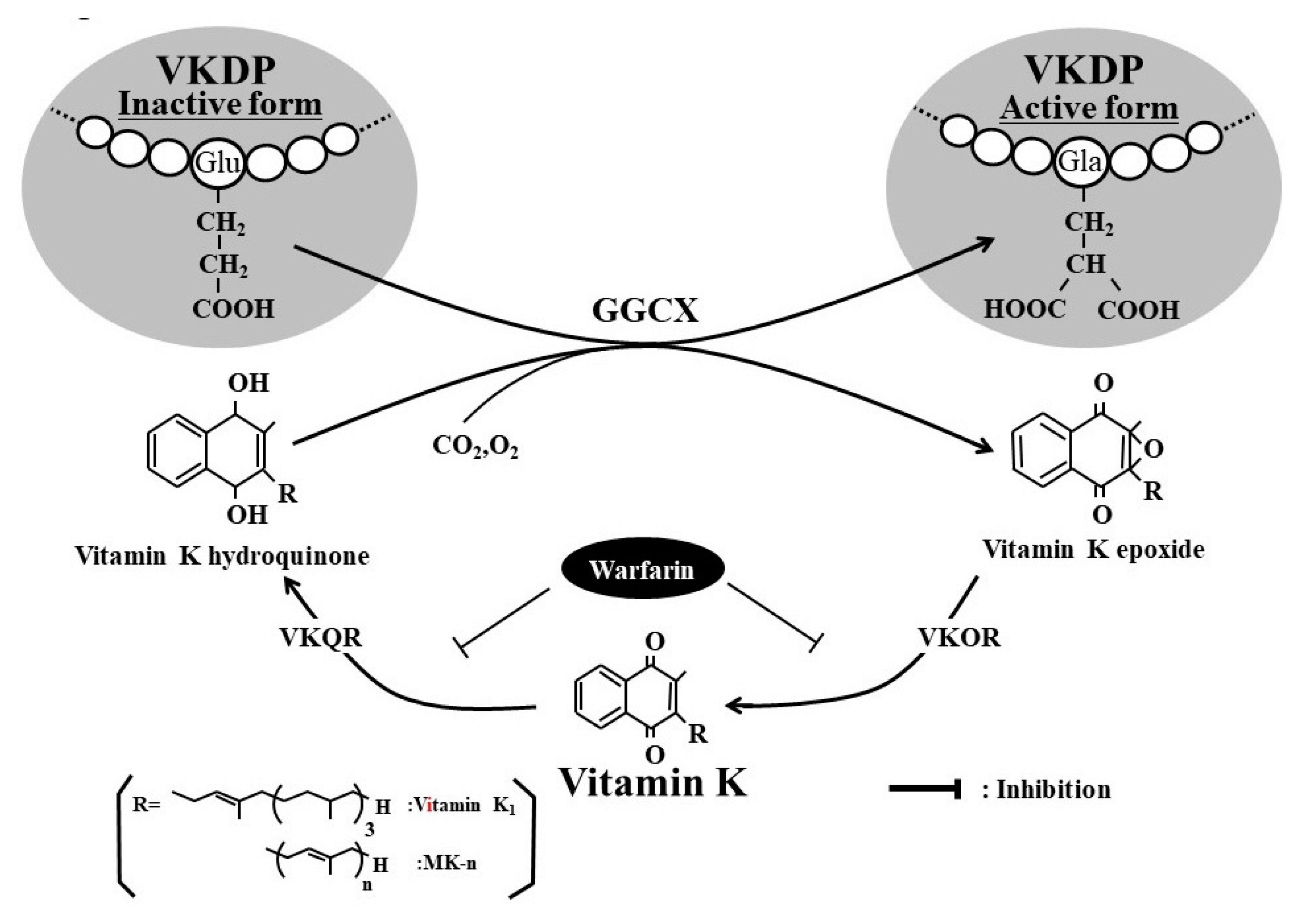 Nutrients 12 01909 g001