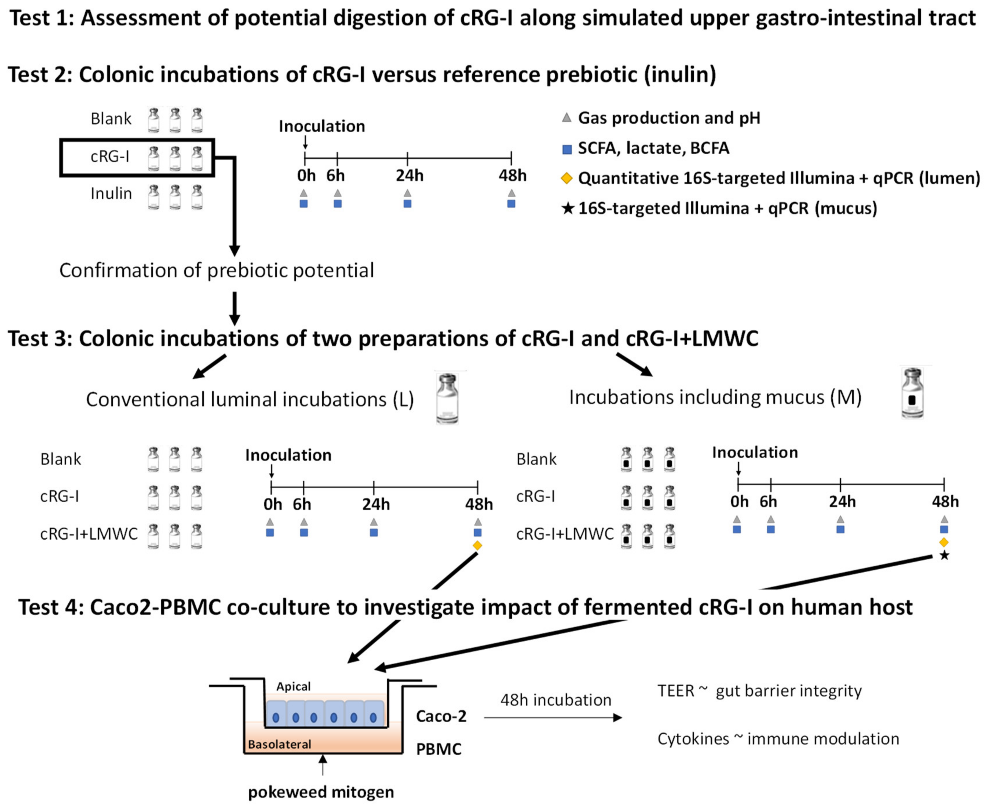 Nutrients 12 01917 g001 Nutrients 12 01917 g001