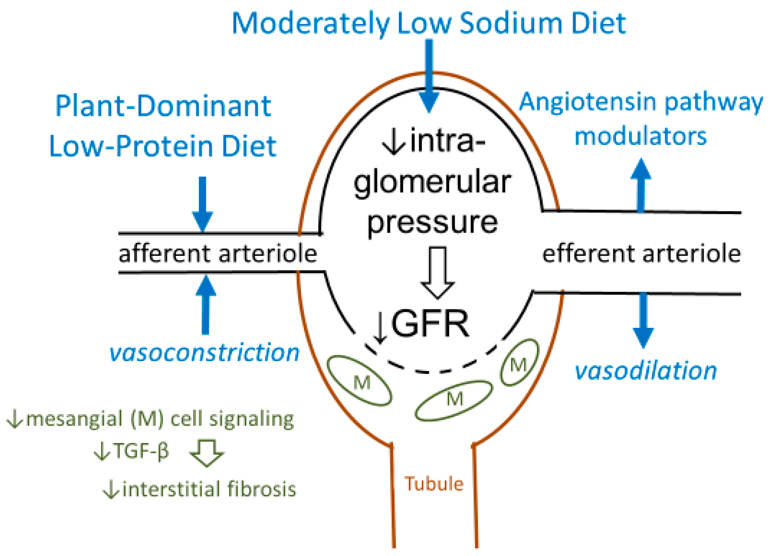 Nutrients 12 01931 g001