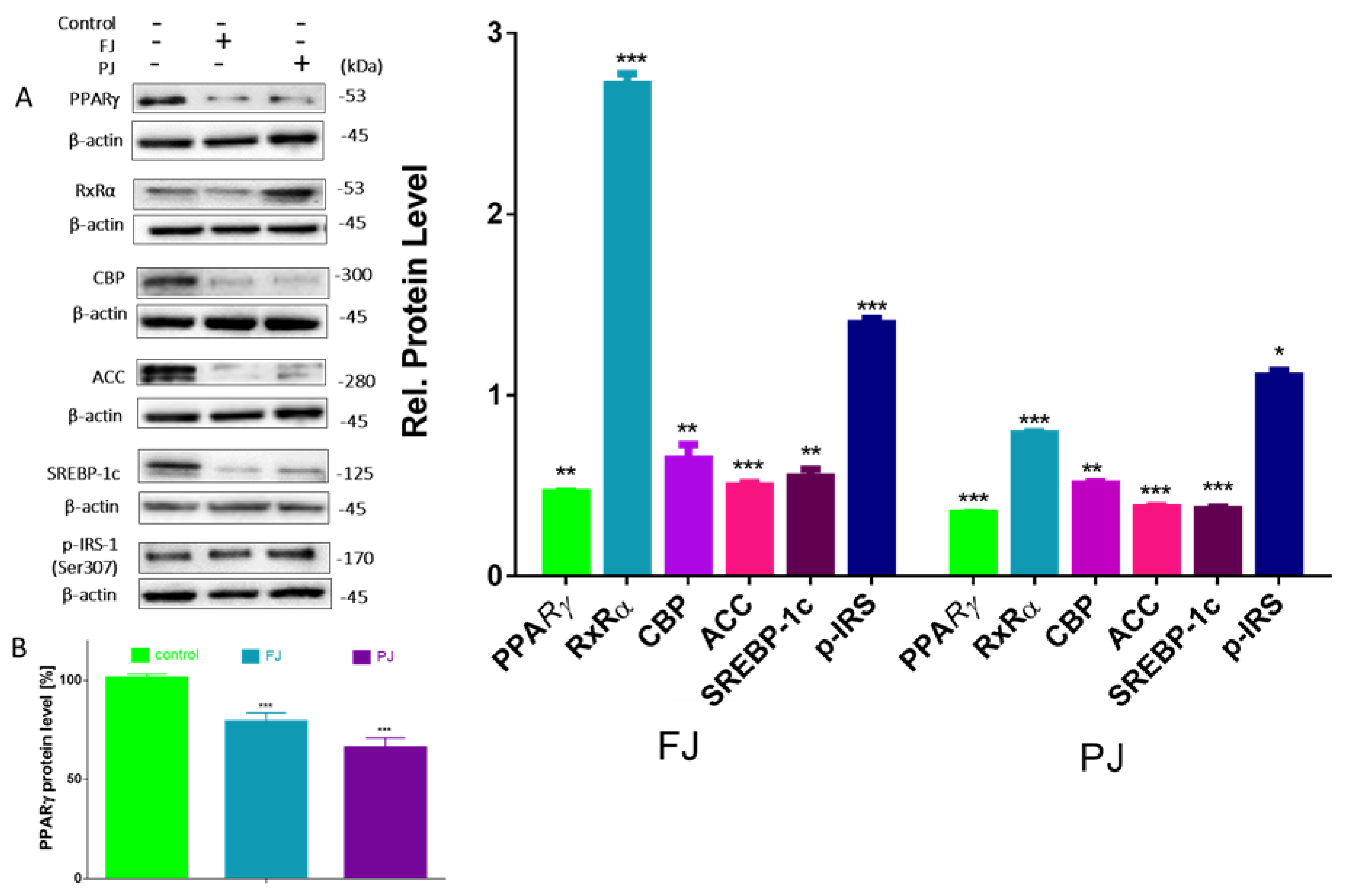 Nutrients 12 02003 g008