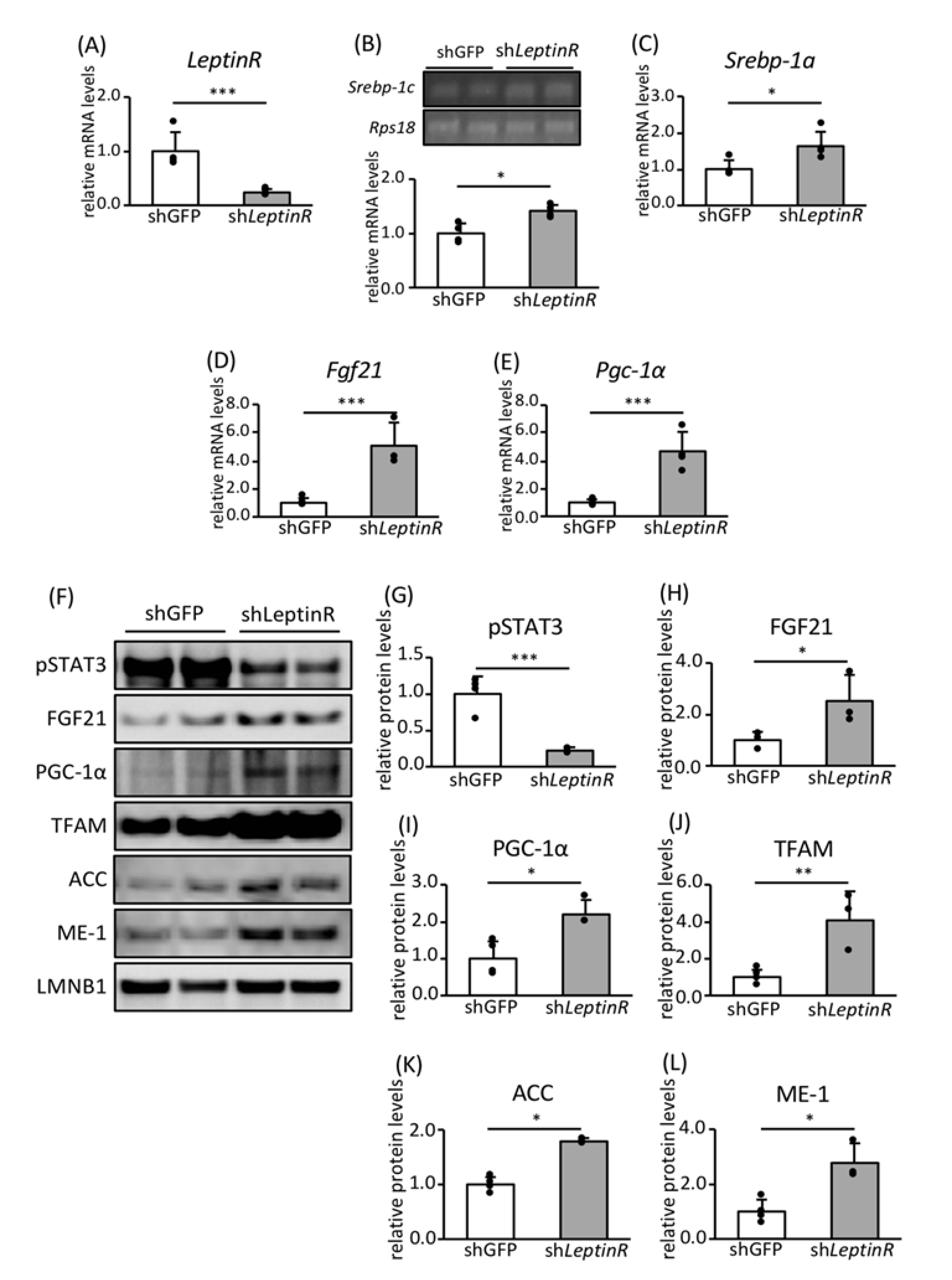 Nutrients 12 02054 g006