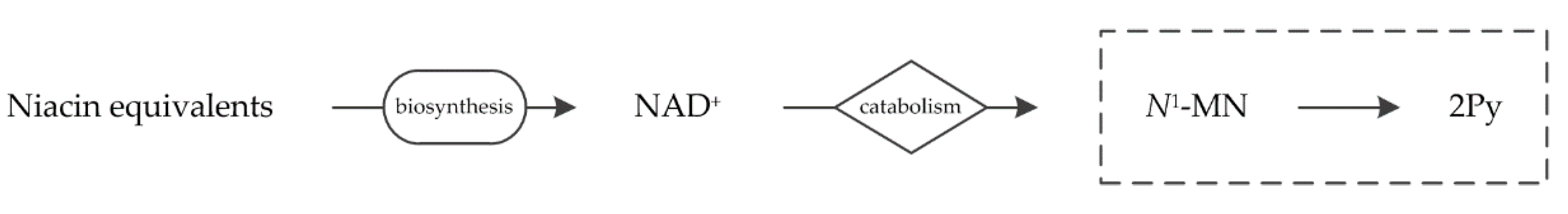 Nutrients 12 02059 g001