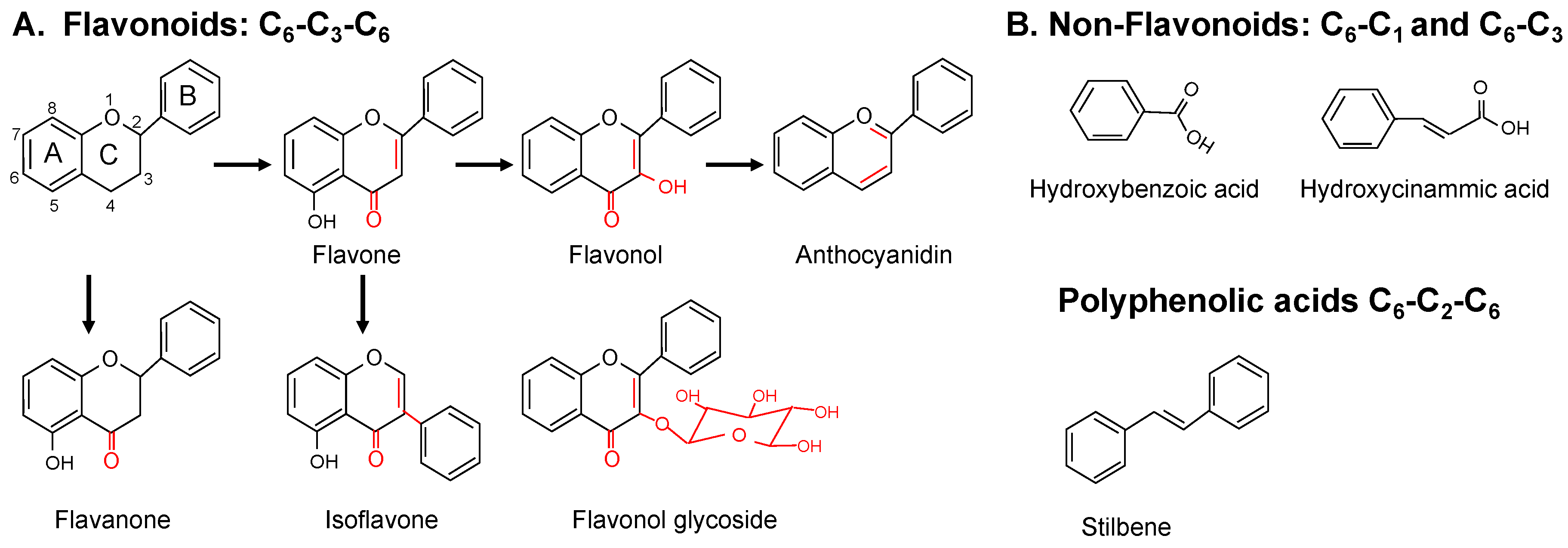 Nutrients 12 02069 g001 Nutrients 12 02069 g001